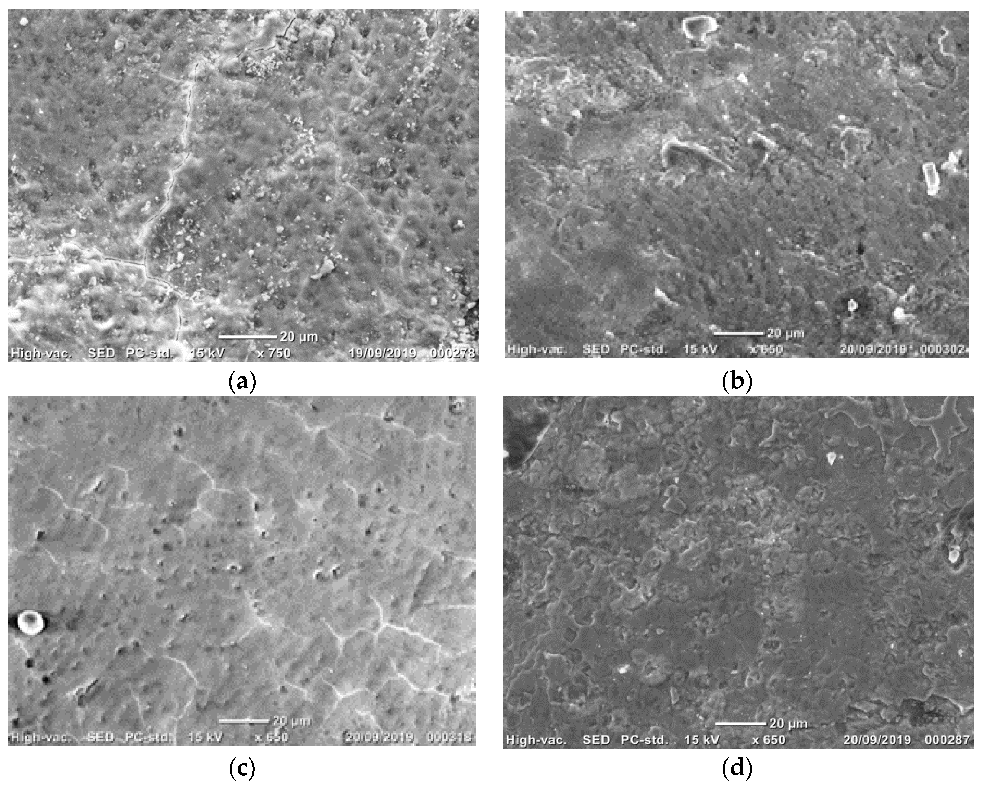 Applsci 12 01495 g005