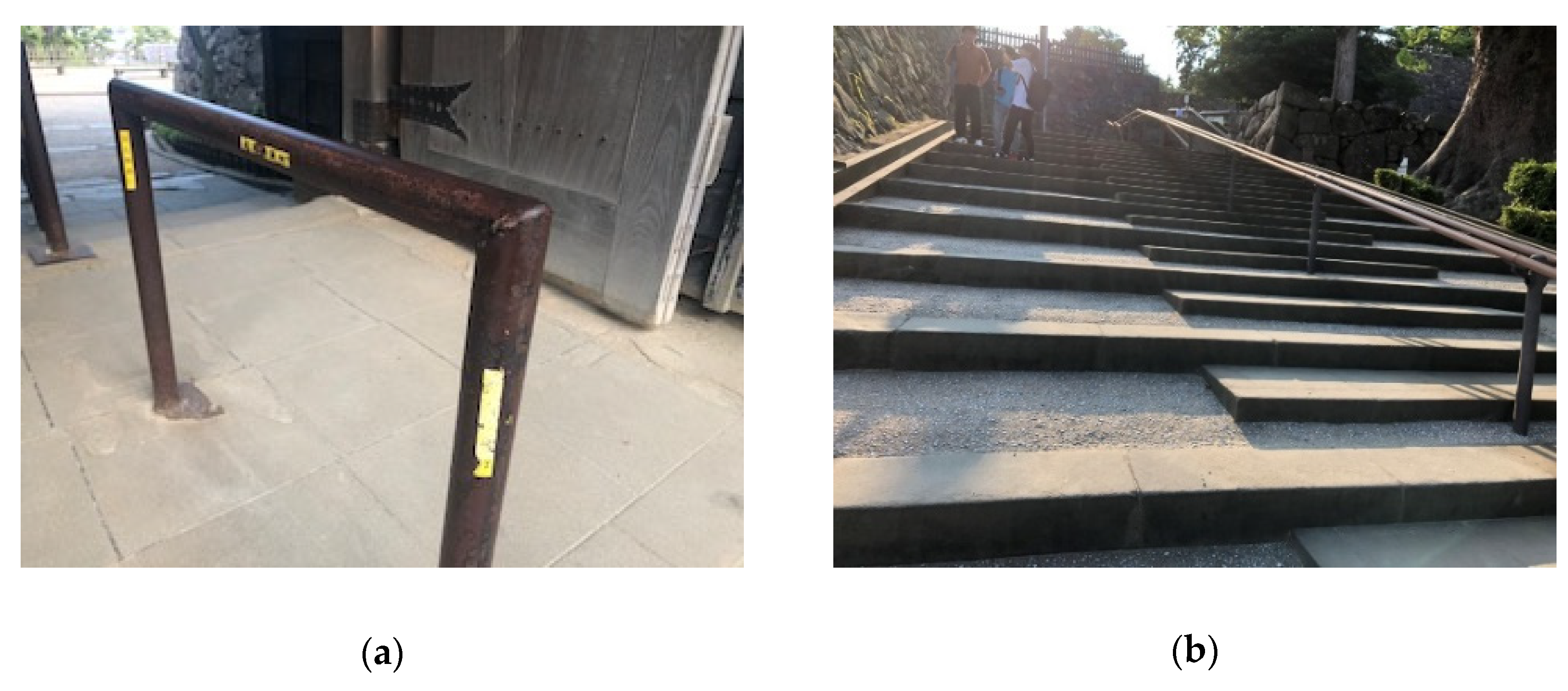 Applsci 12 01499 g005