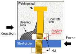 Applsci 12 01508 i004