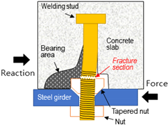Applsci 12 01508 i010
