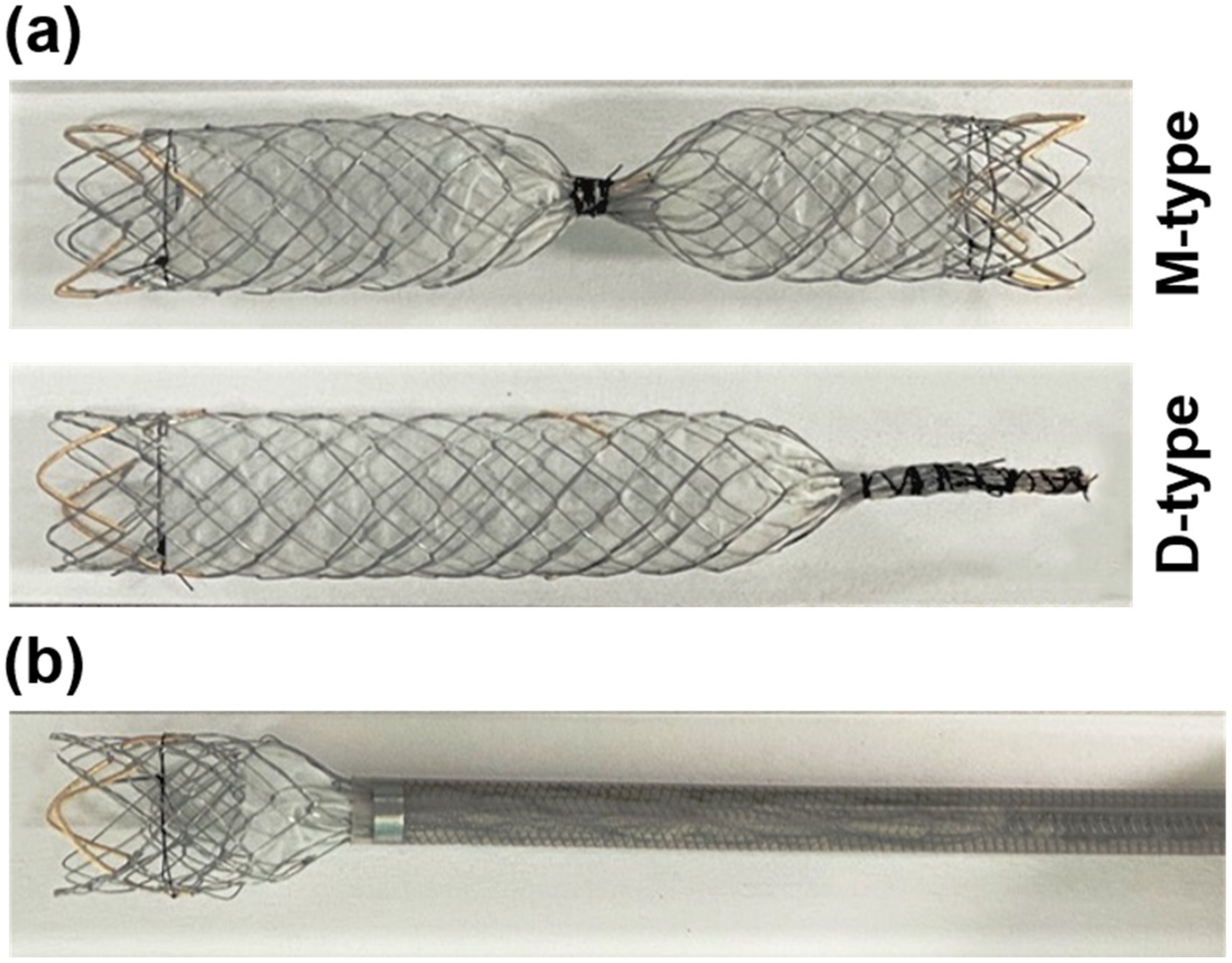 Applsci 12 01516 g001