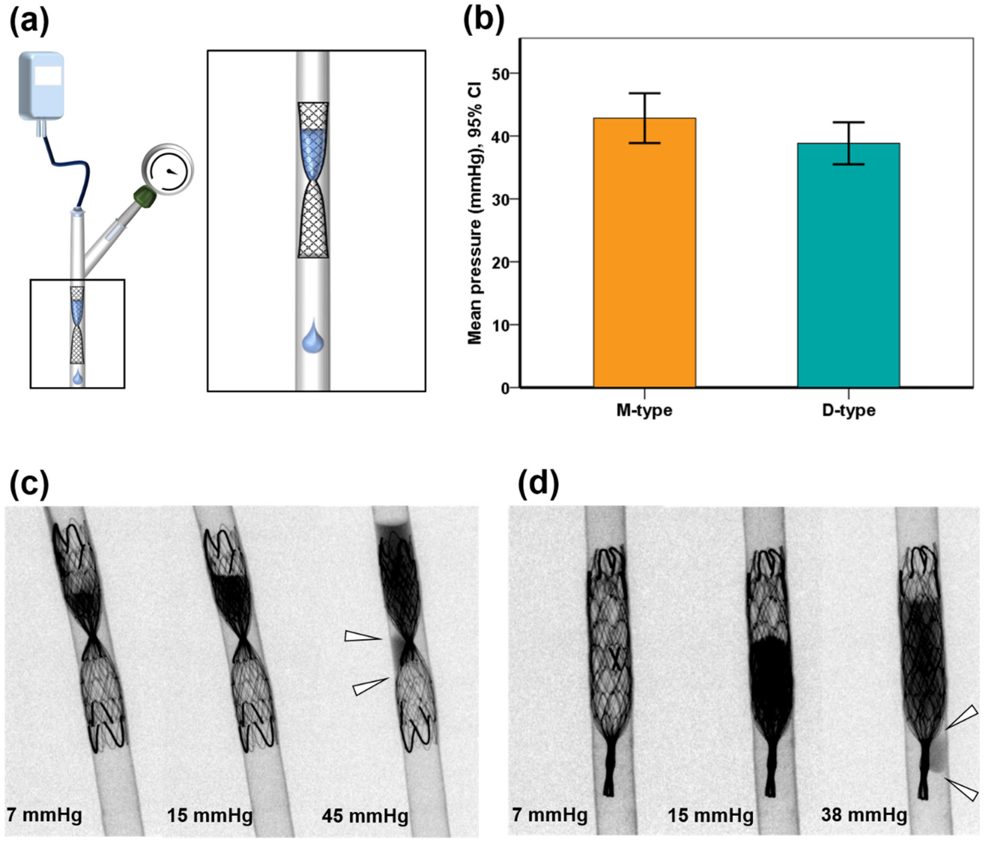 Applsci 12 01516 g003