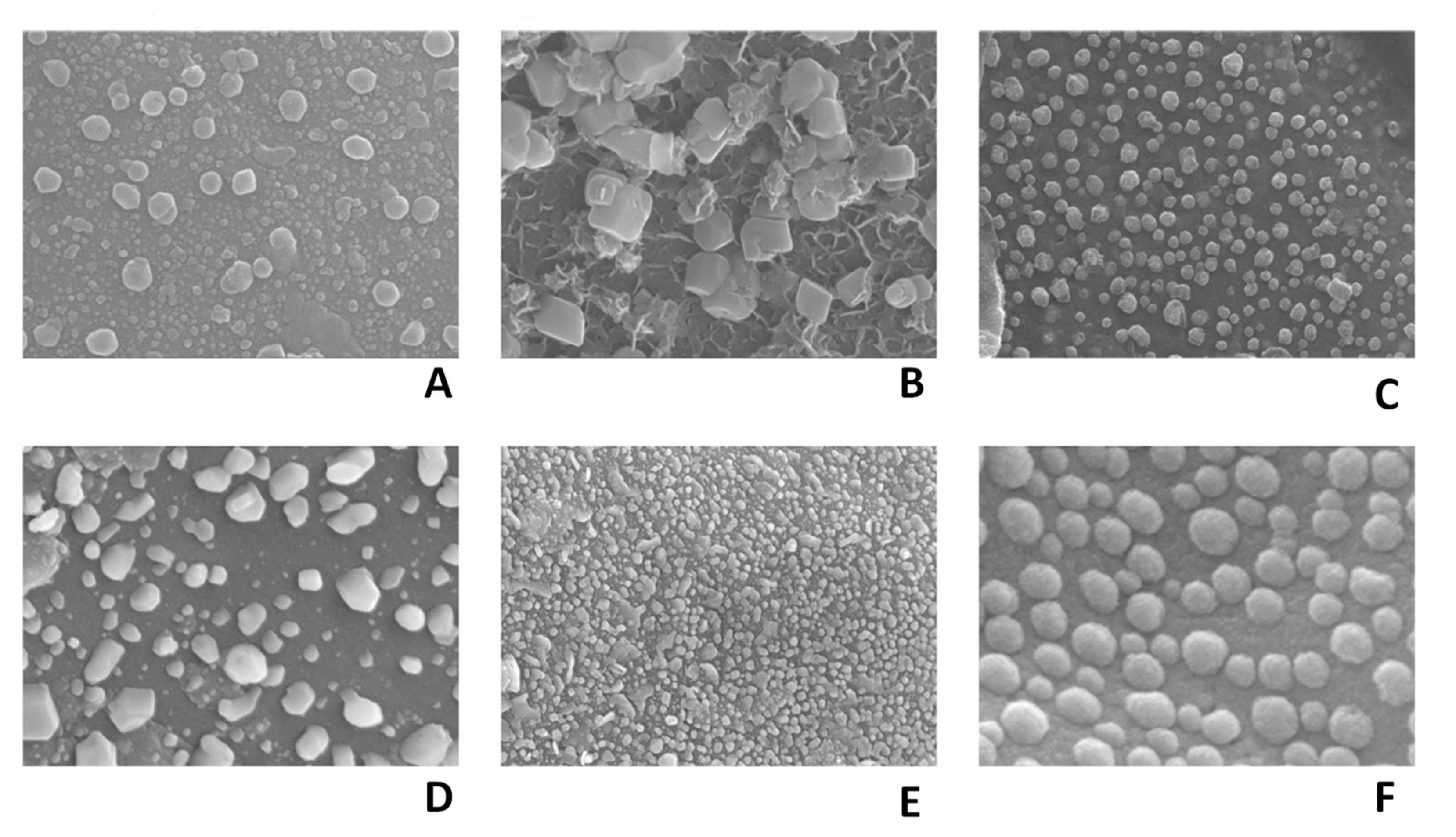 Applsci 12 01528 g001 Applsci 12 01528 g001