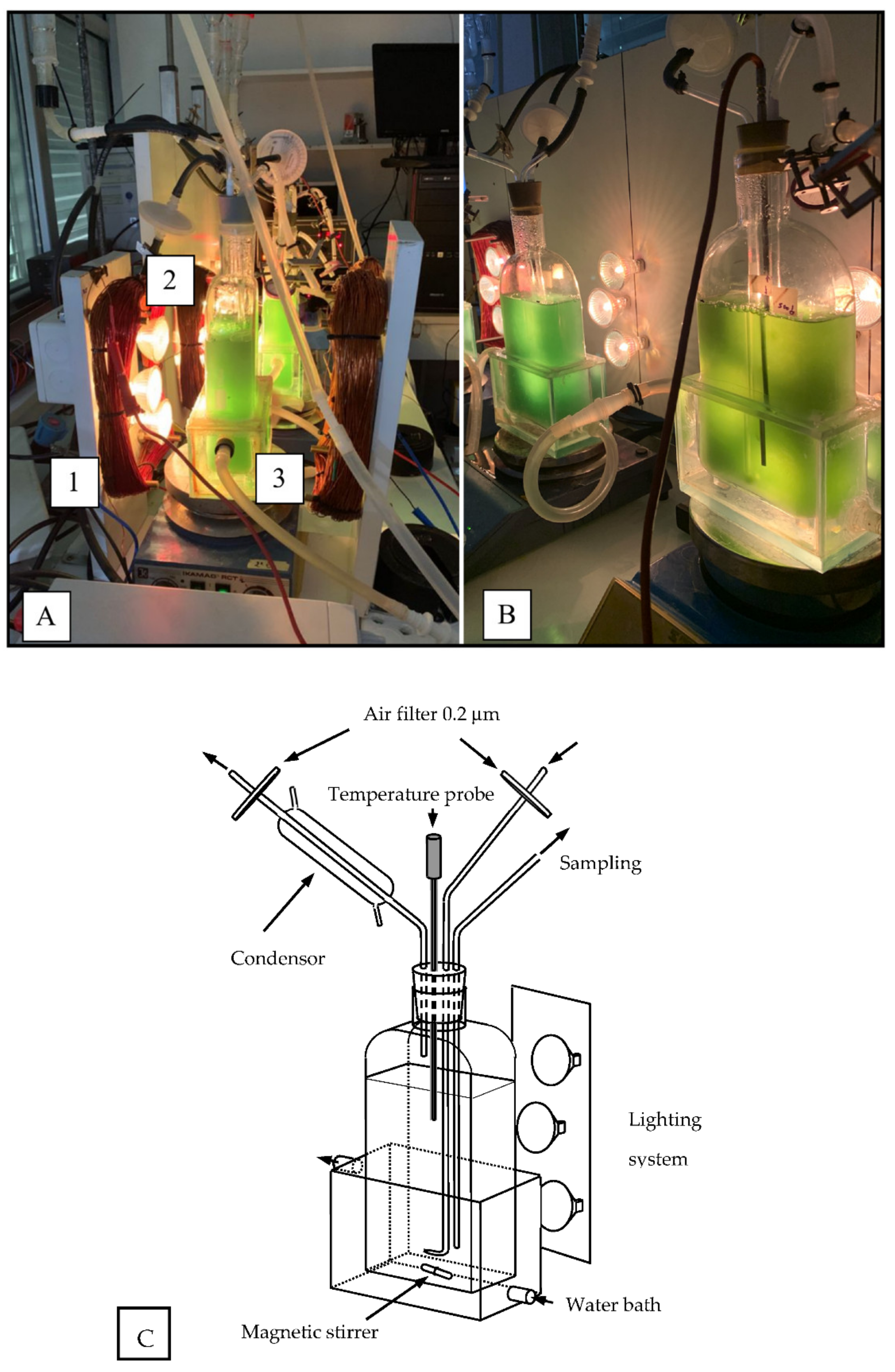 Applsci 12 01533 g001