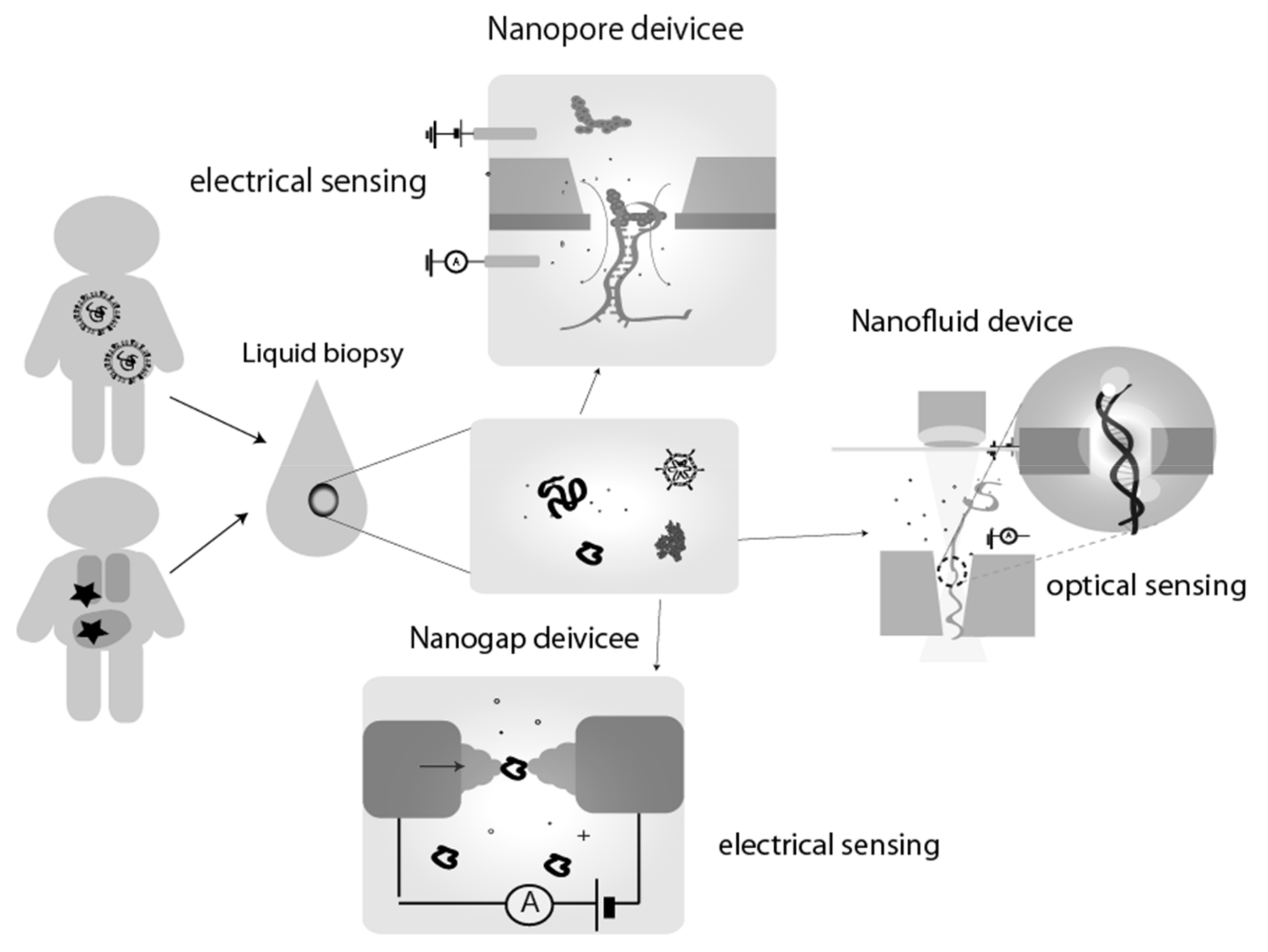 Applsci 12 01539 g001