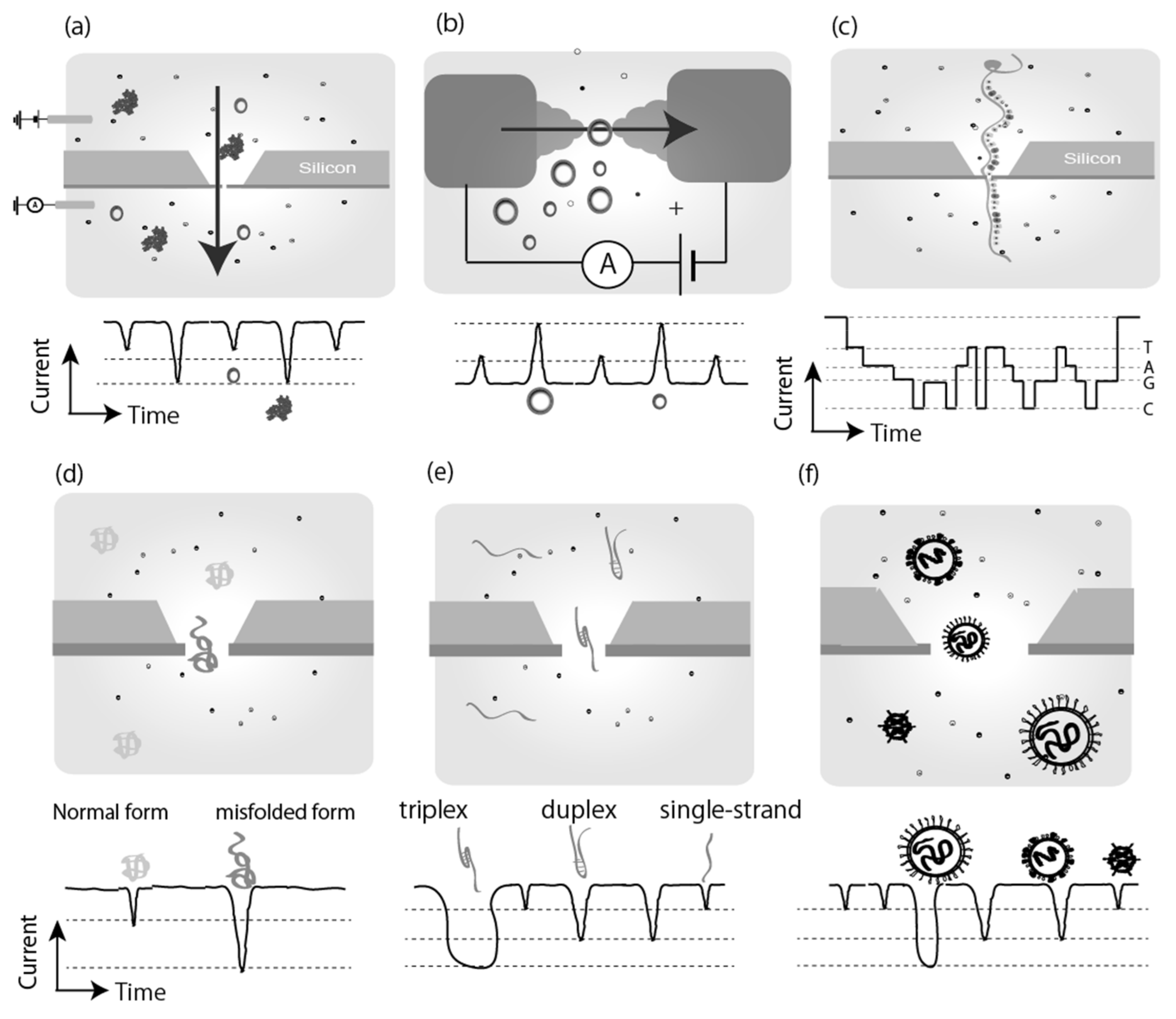 Applsci 12 01539 g002