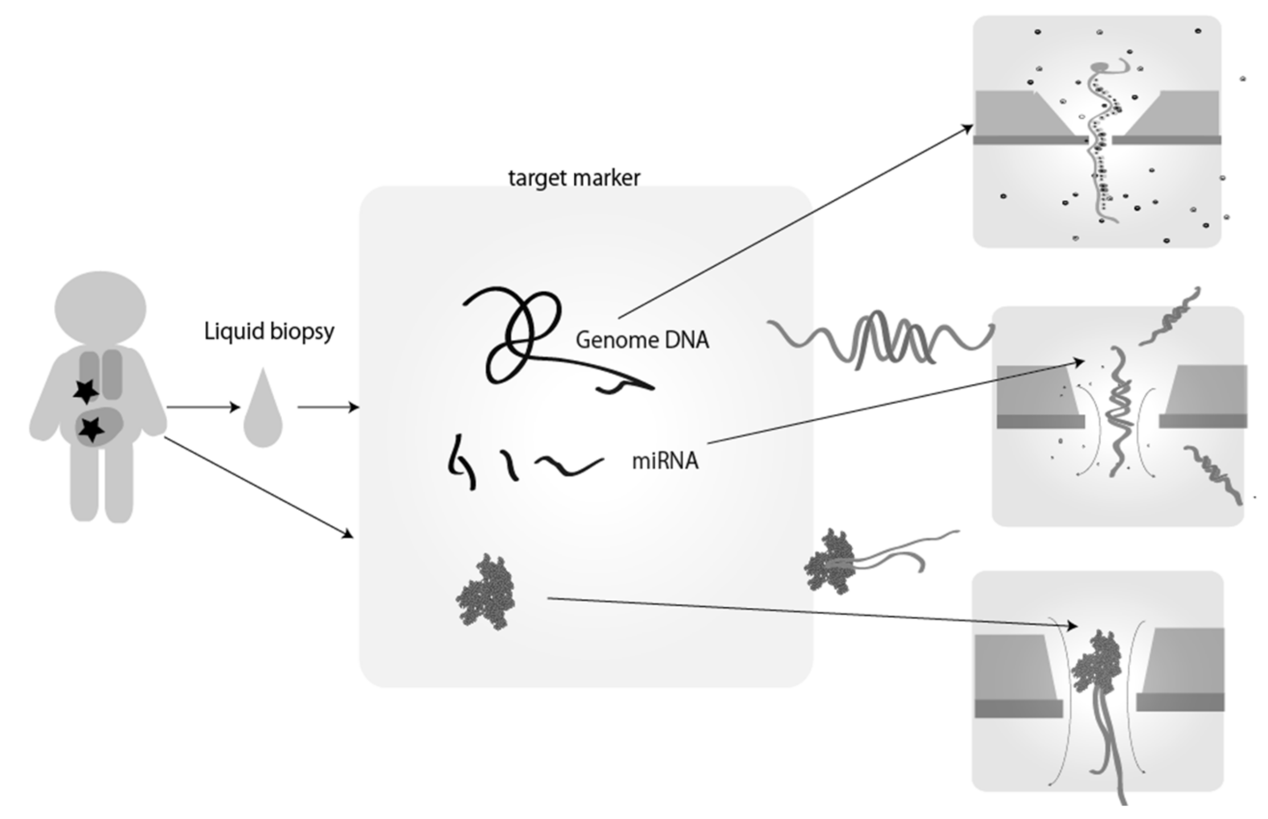 Applsci 12 01539 g004