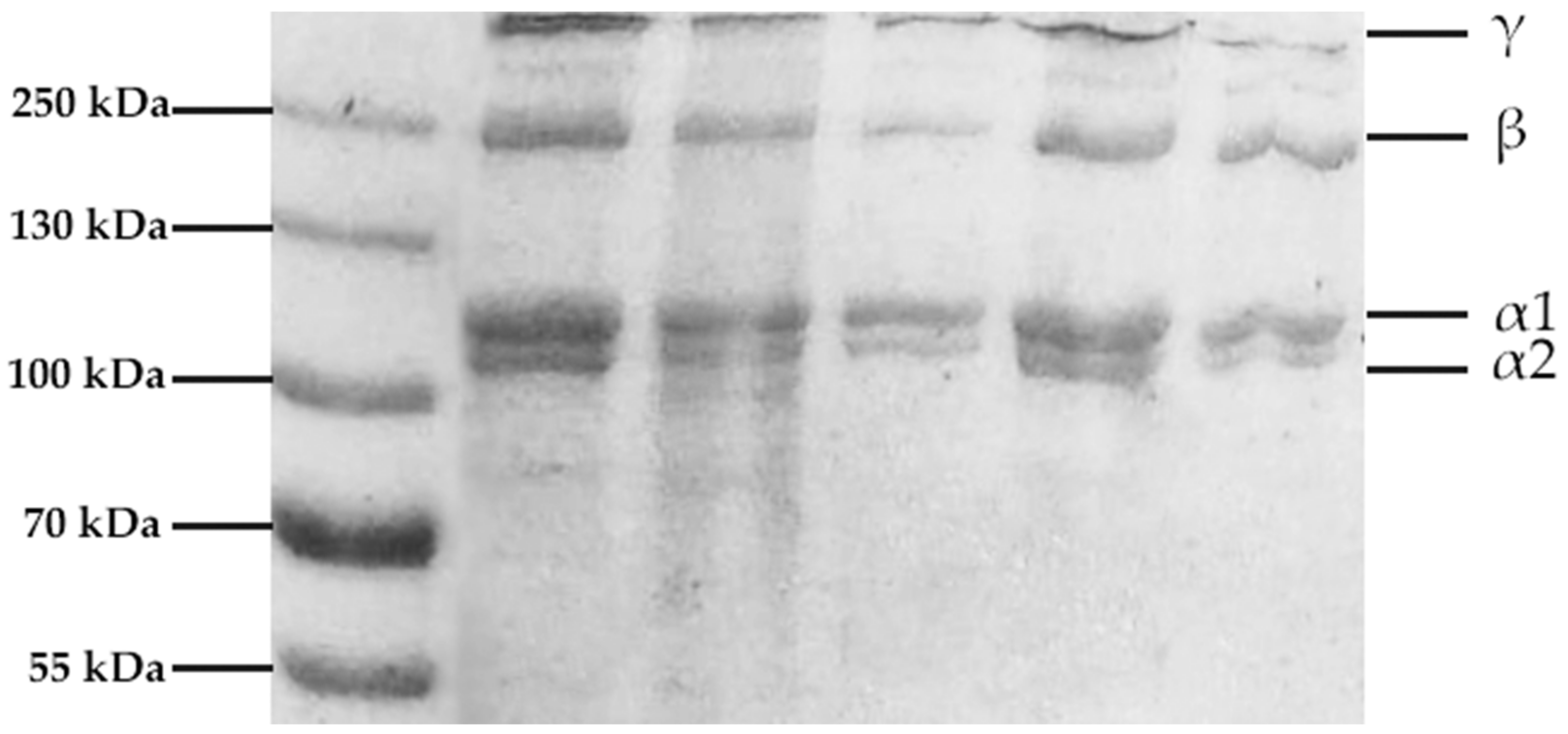 Applsci 12 01542 g002