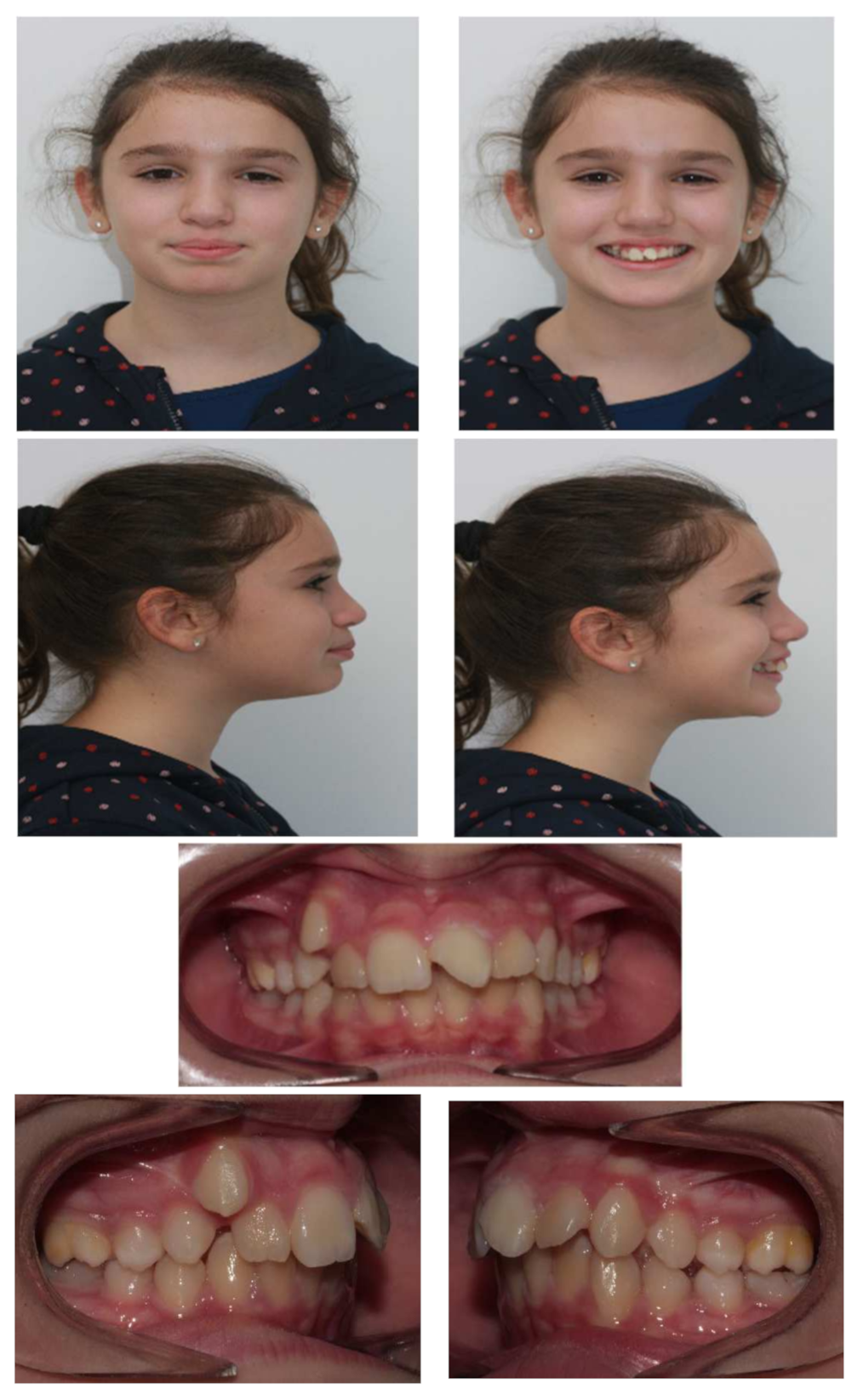 Applsci 12 01552 g001a Applsci 12 01552 g001a
