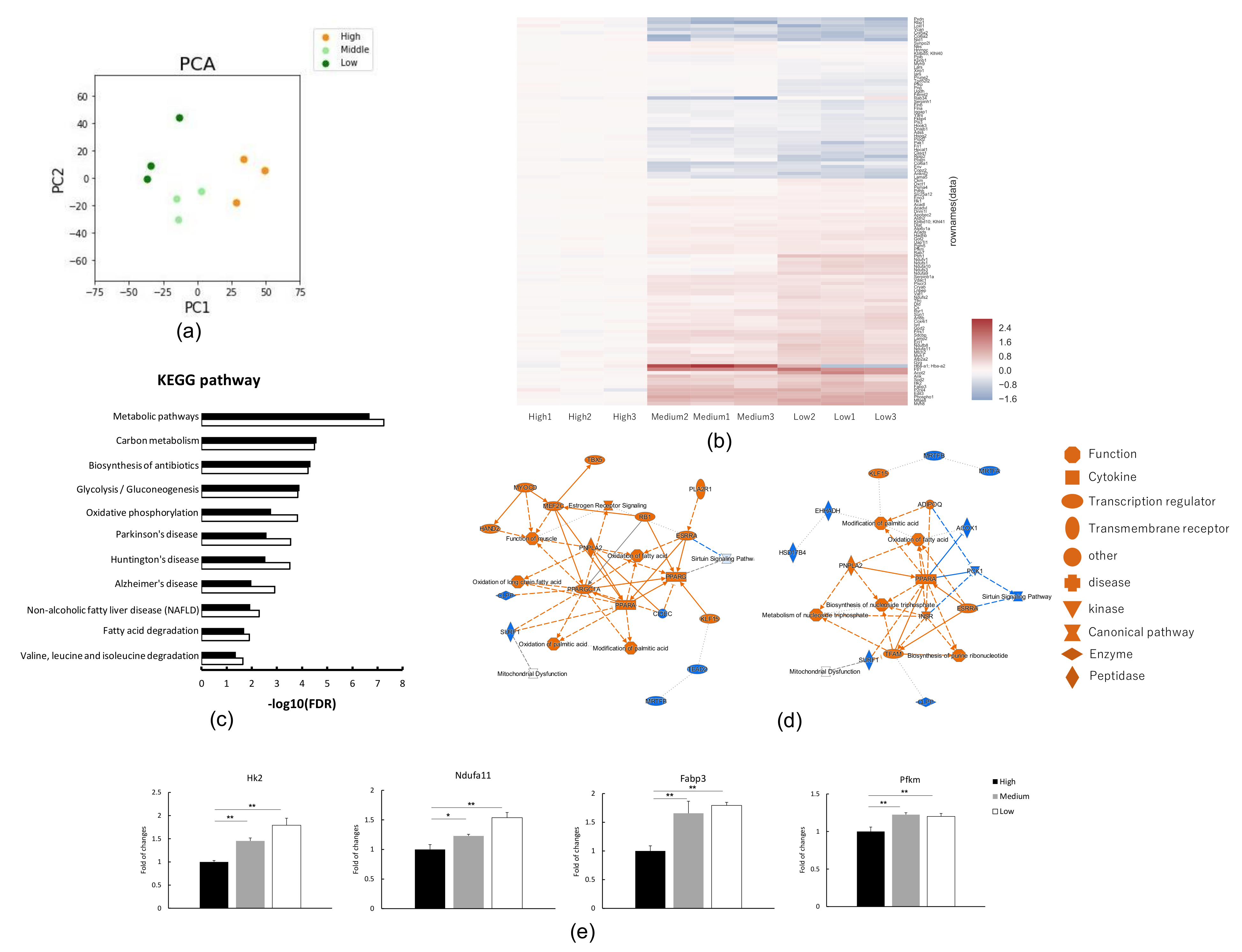 Applsci 12 01553 g001 Applsci 12 01553 g001