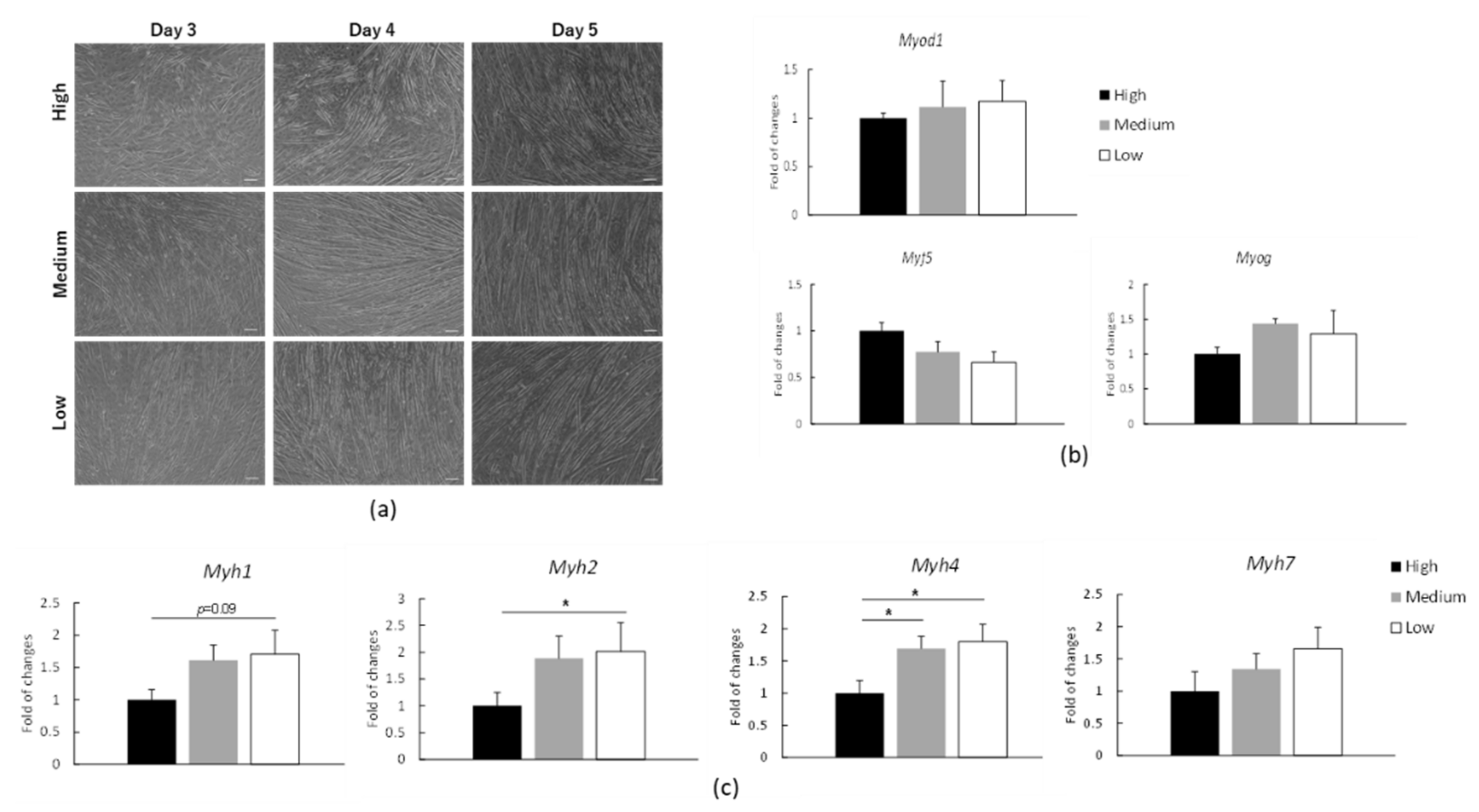 Applsci 12 01553 g003 Applsci 12 01553 g003