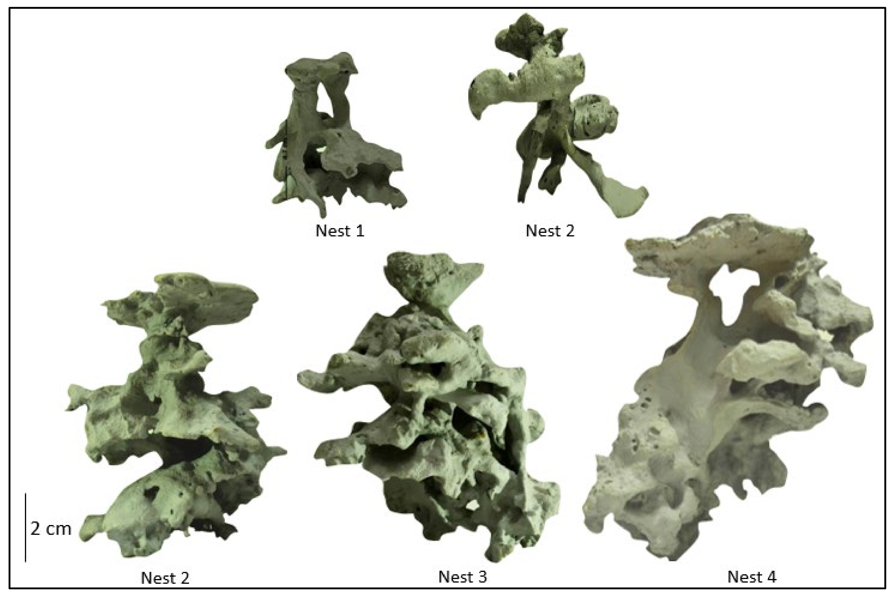 Applsci 12 01573 g004