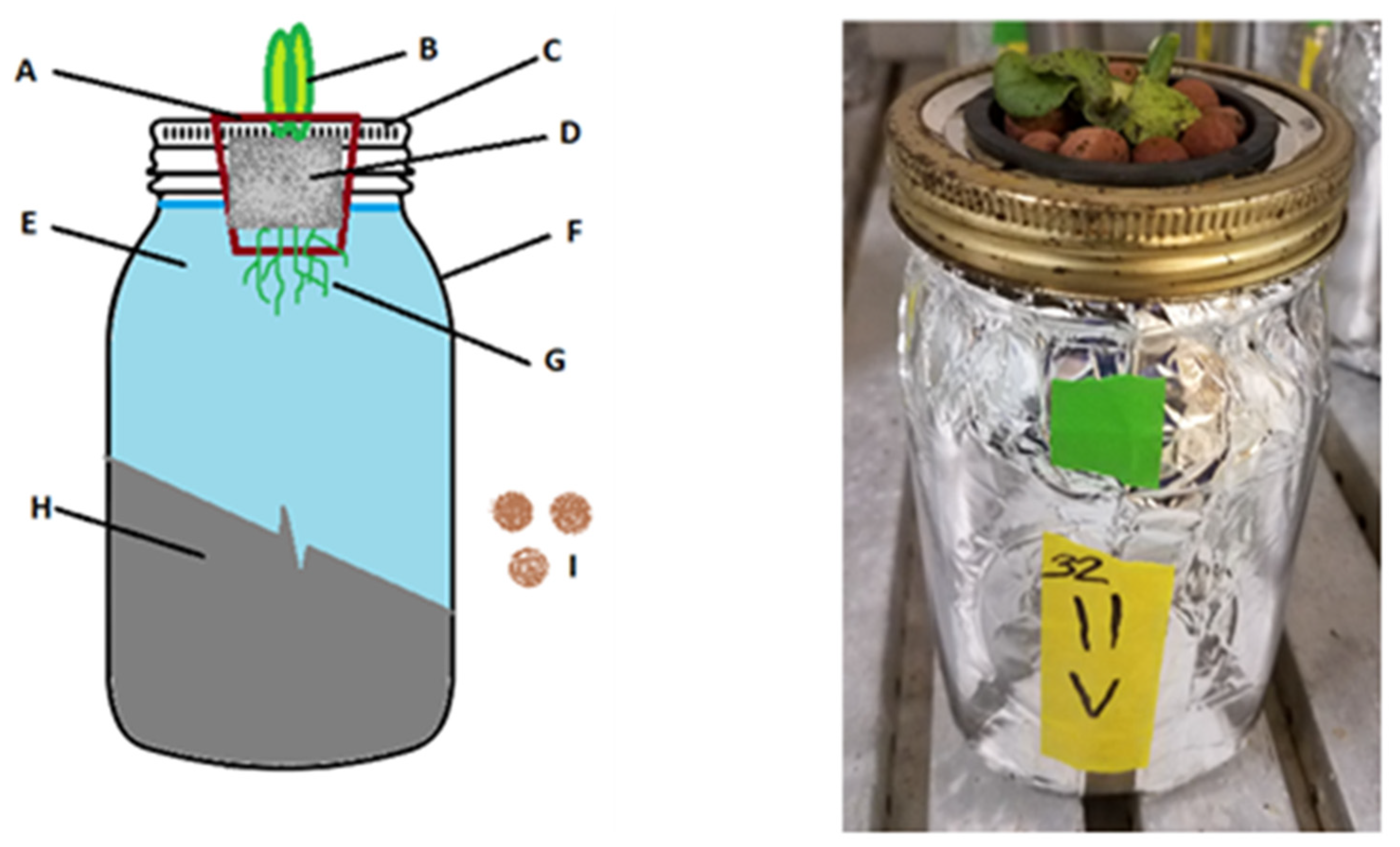 Applsci 12 01585 g001