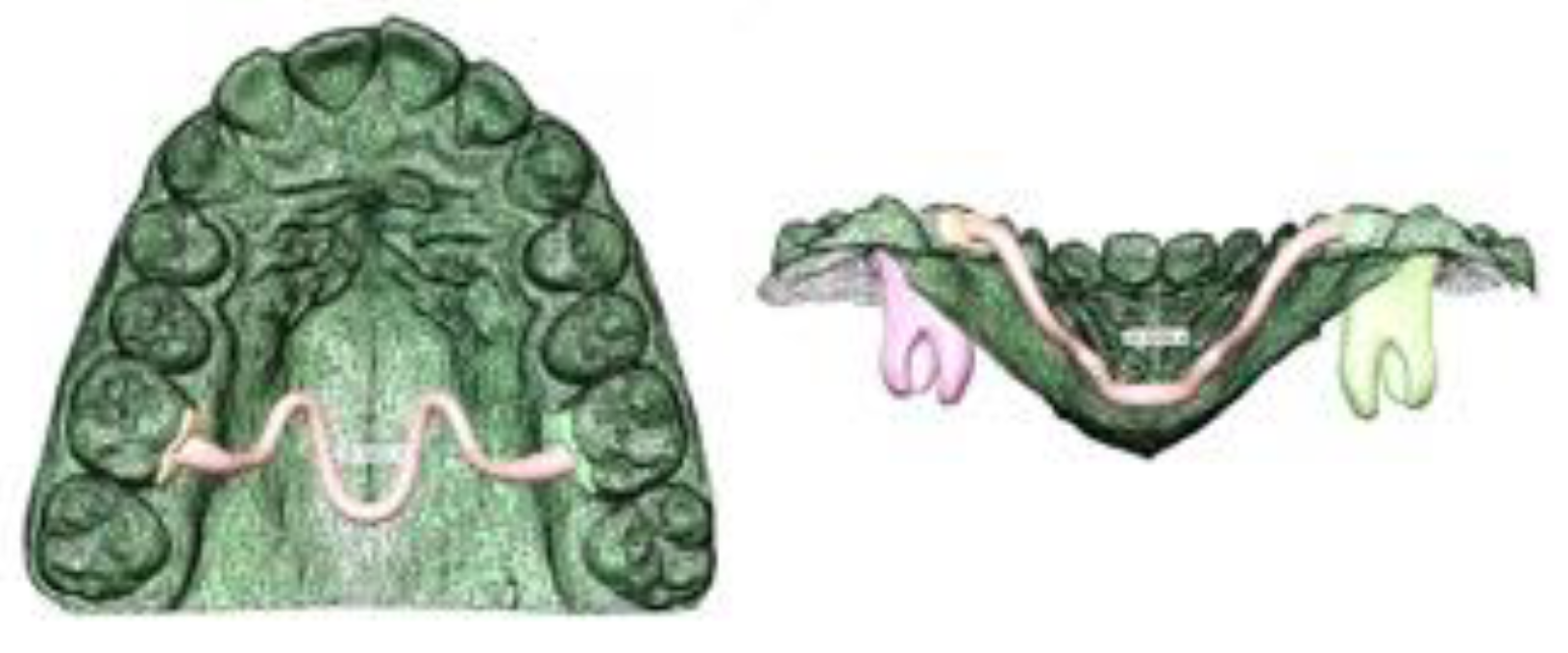 Applsci 12 01590 g001