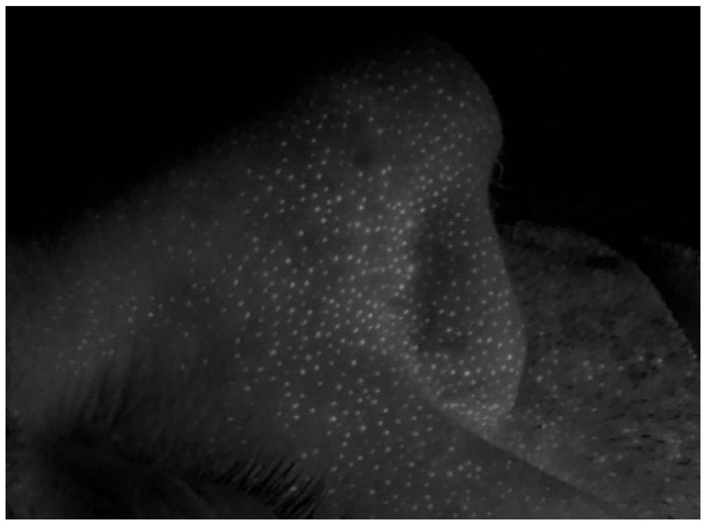 Applsci 12 01691 g001