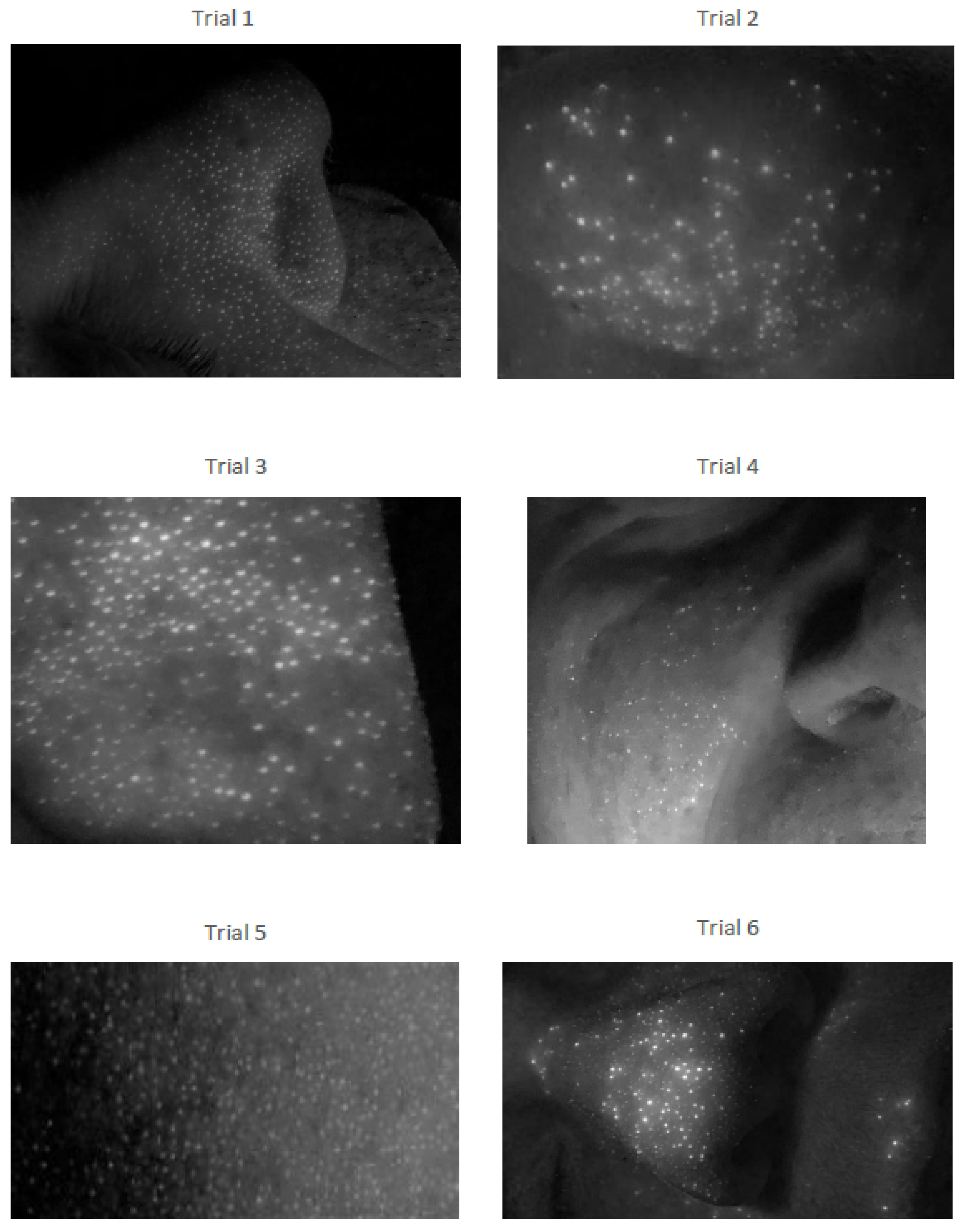 Applsci 12 01691 g005