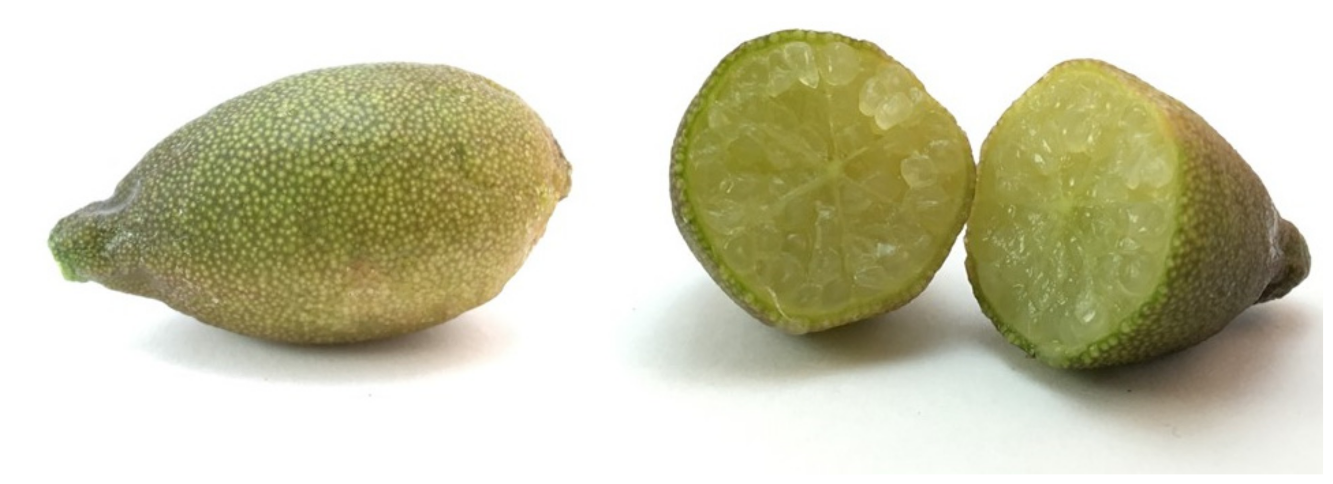 Applsci 12 01712 g001