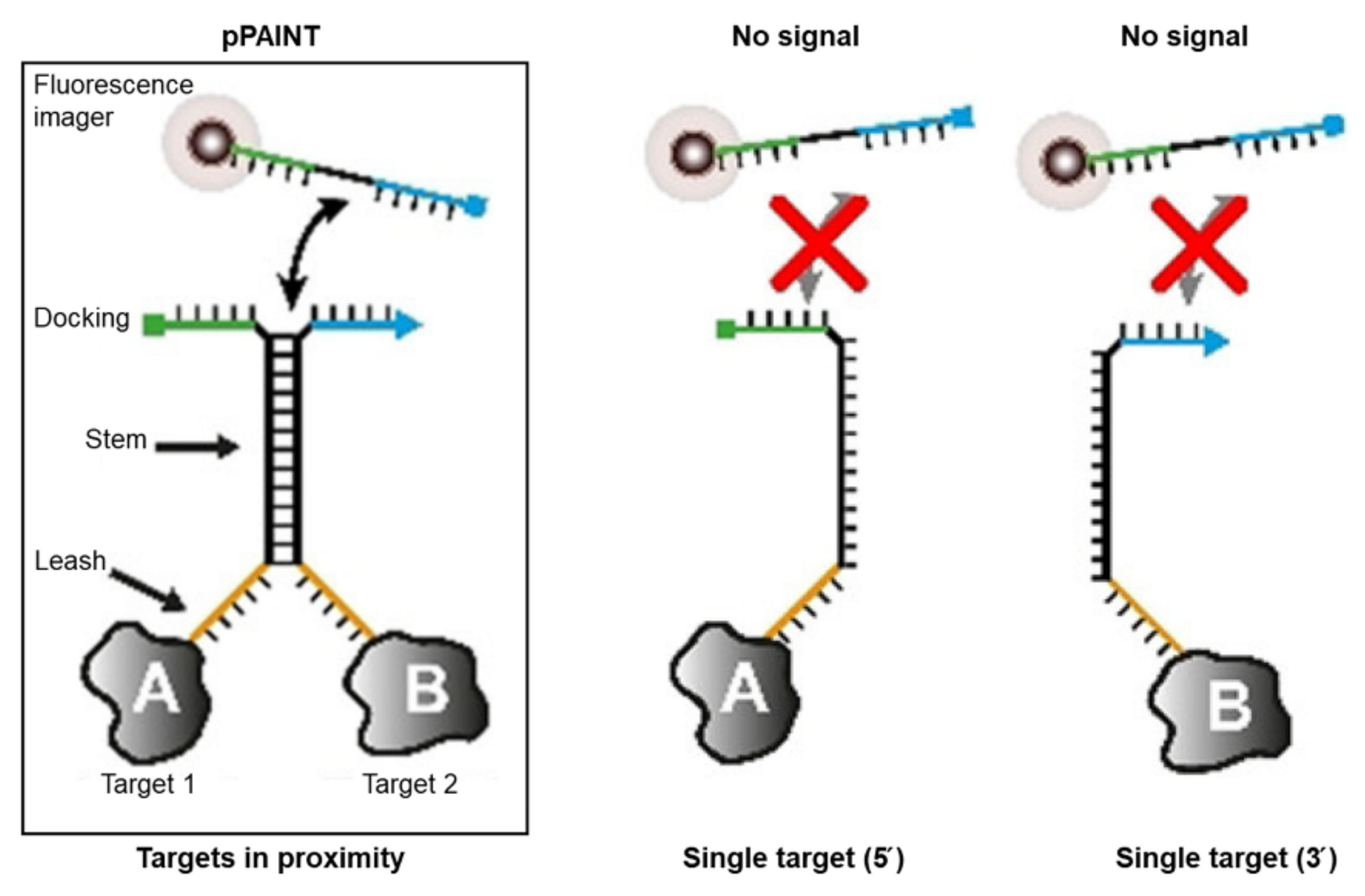 Applsci 12 01717 g004