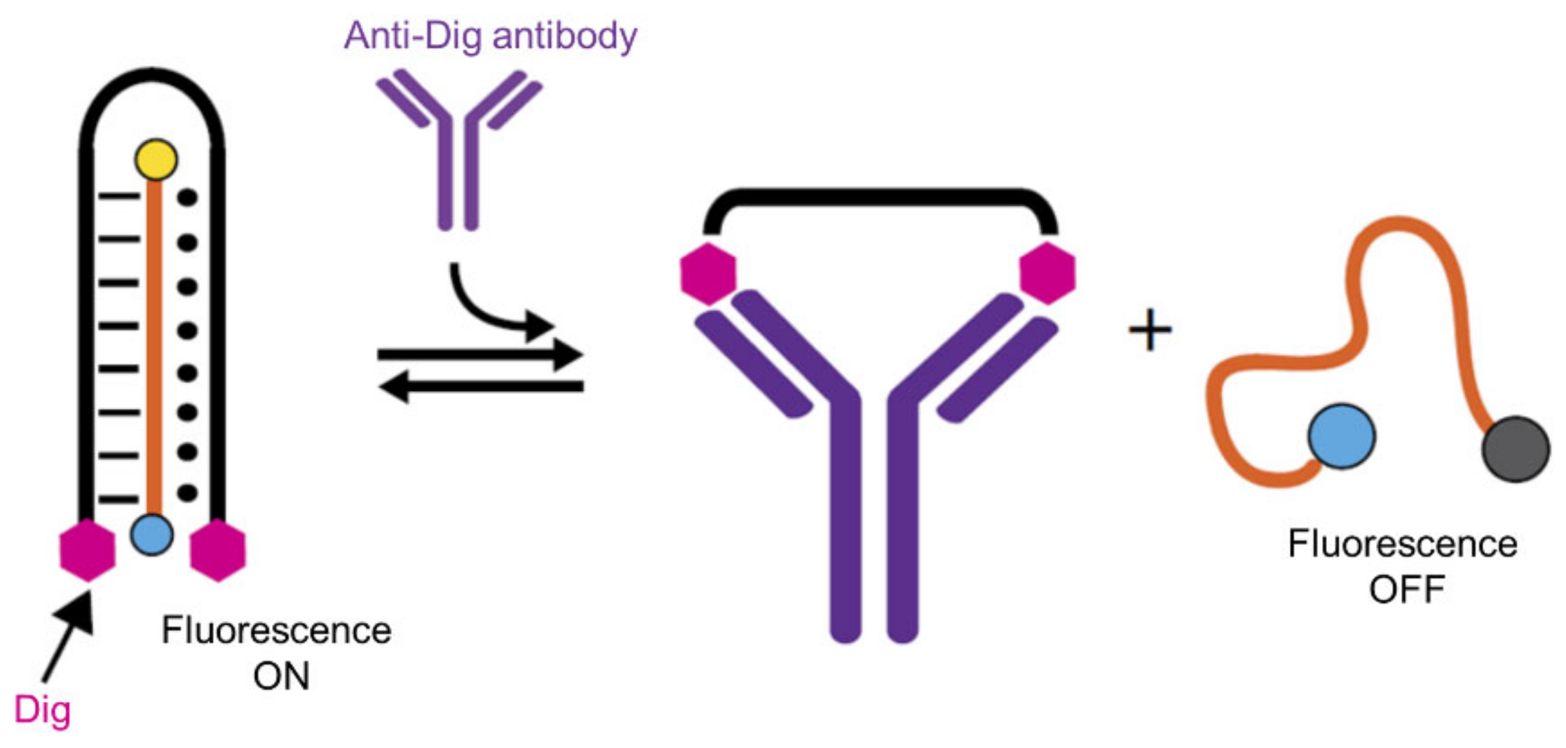 Applsci 12 01717 g012