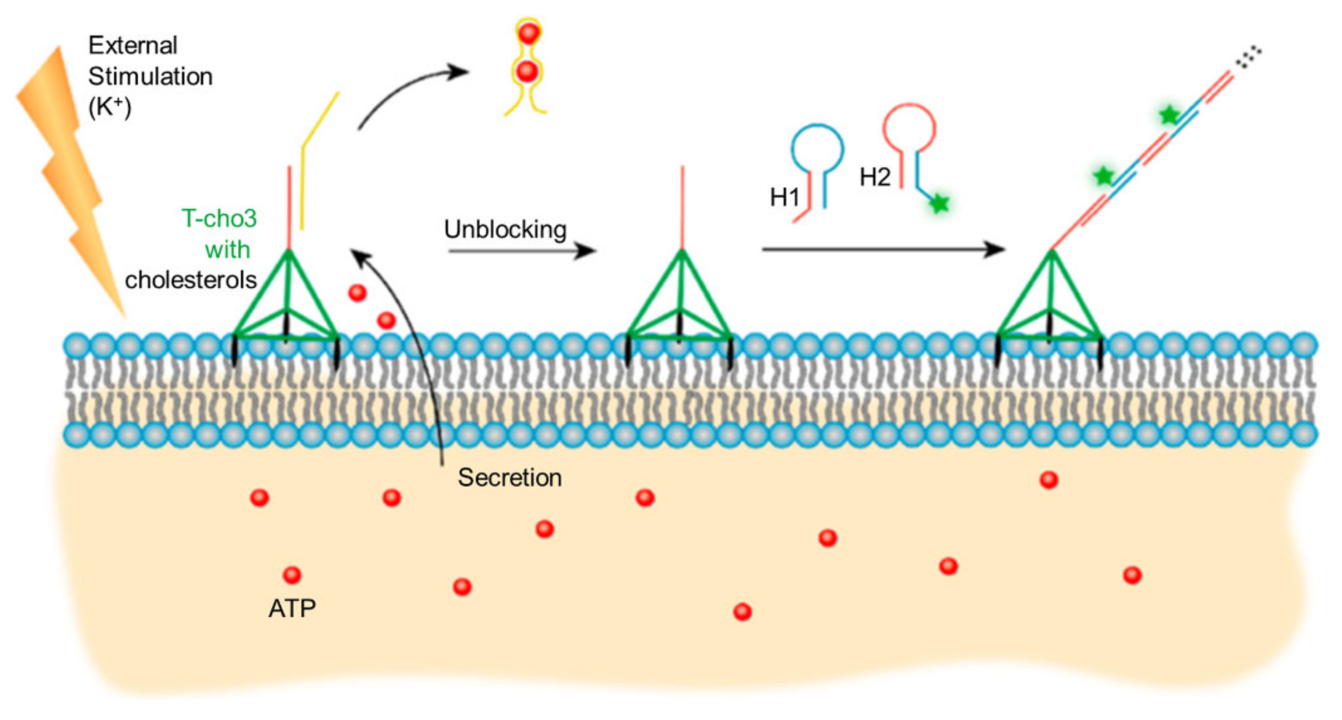 Applsci 12 01717 g015