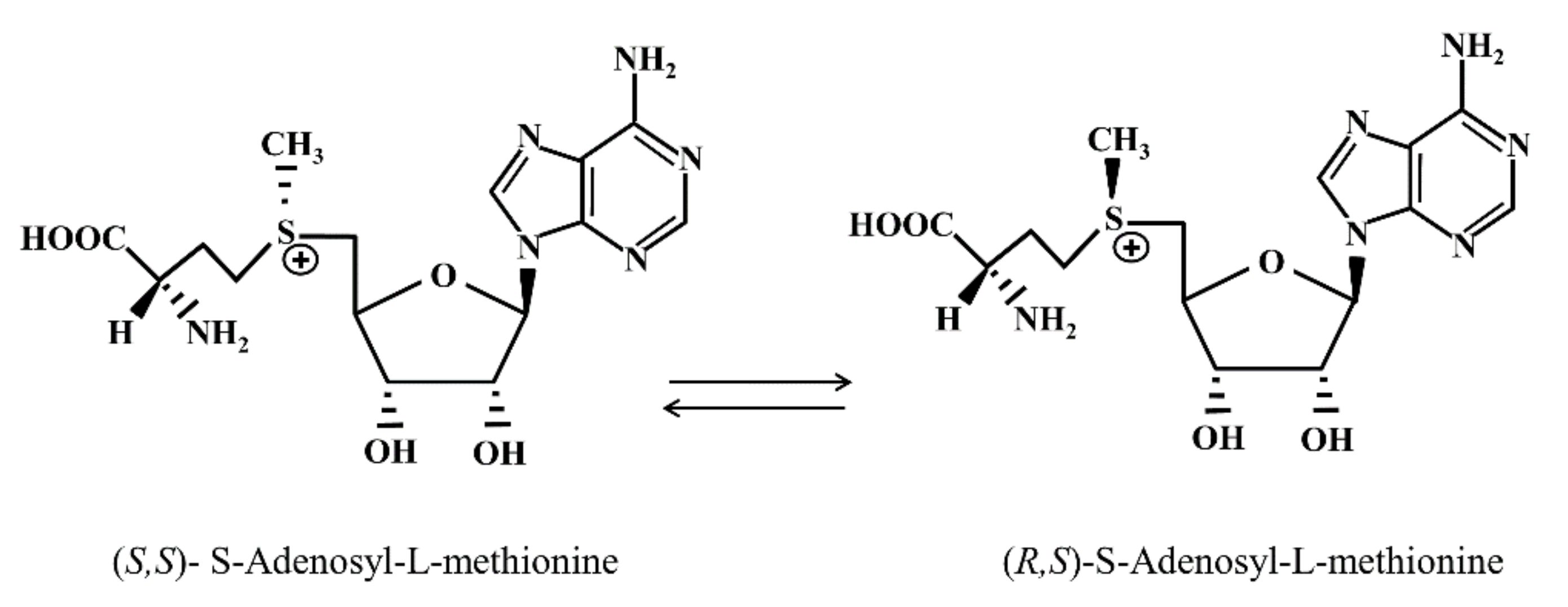 Applsci 12 01746 g001
