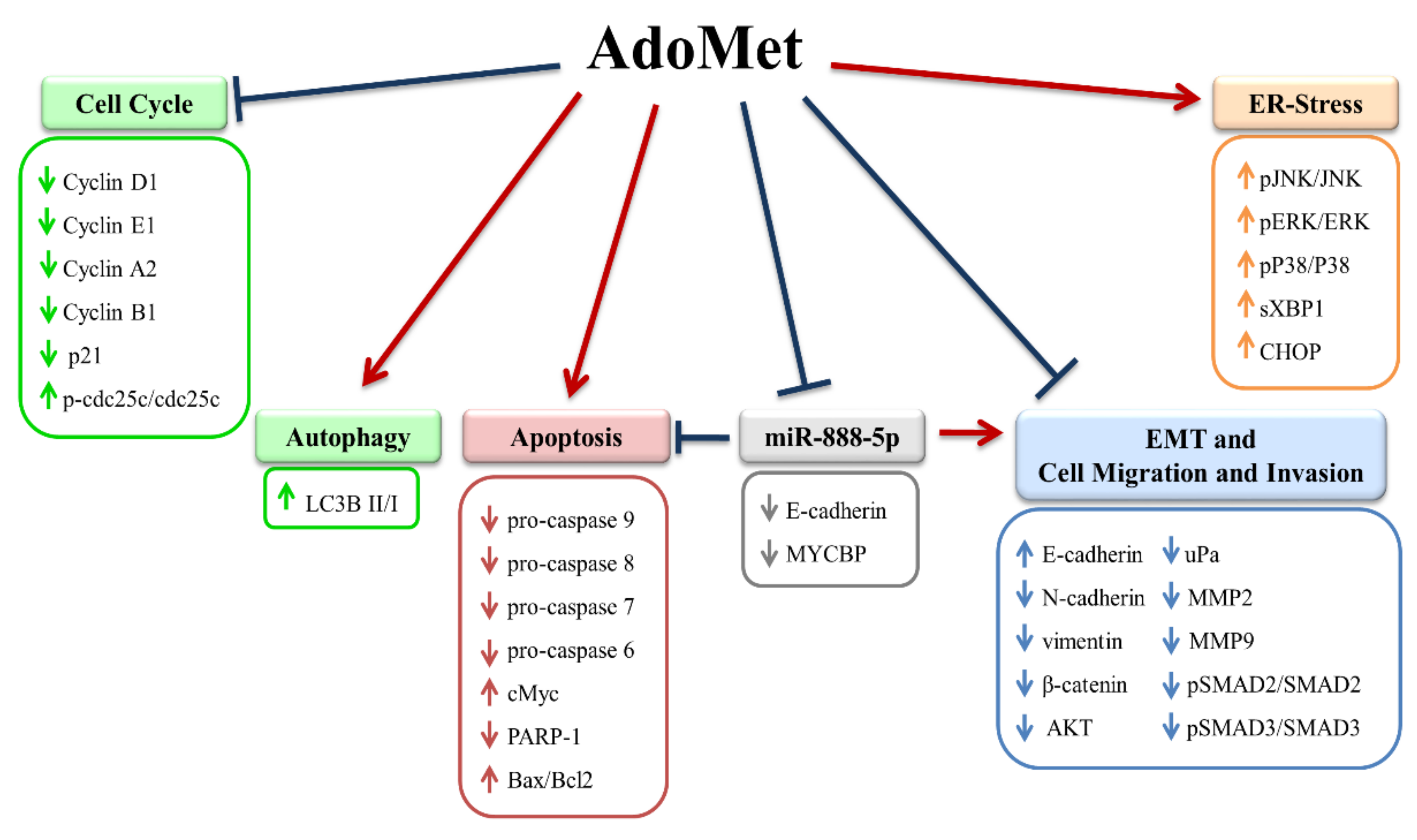 Applsci 12 01746 g004