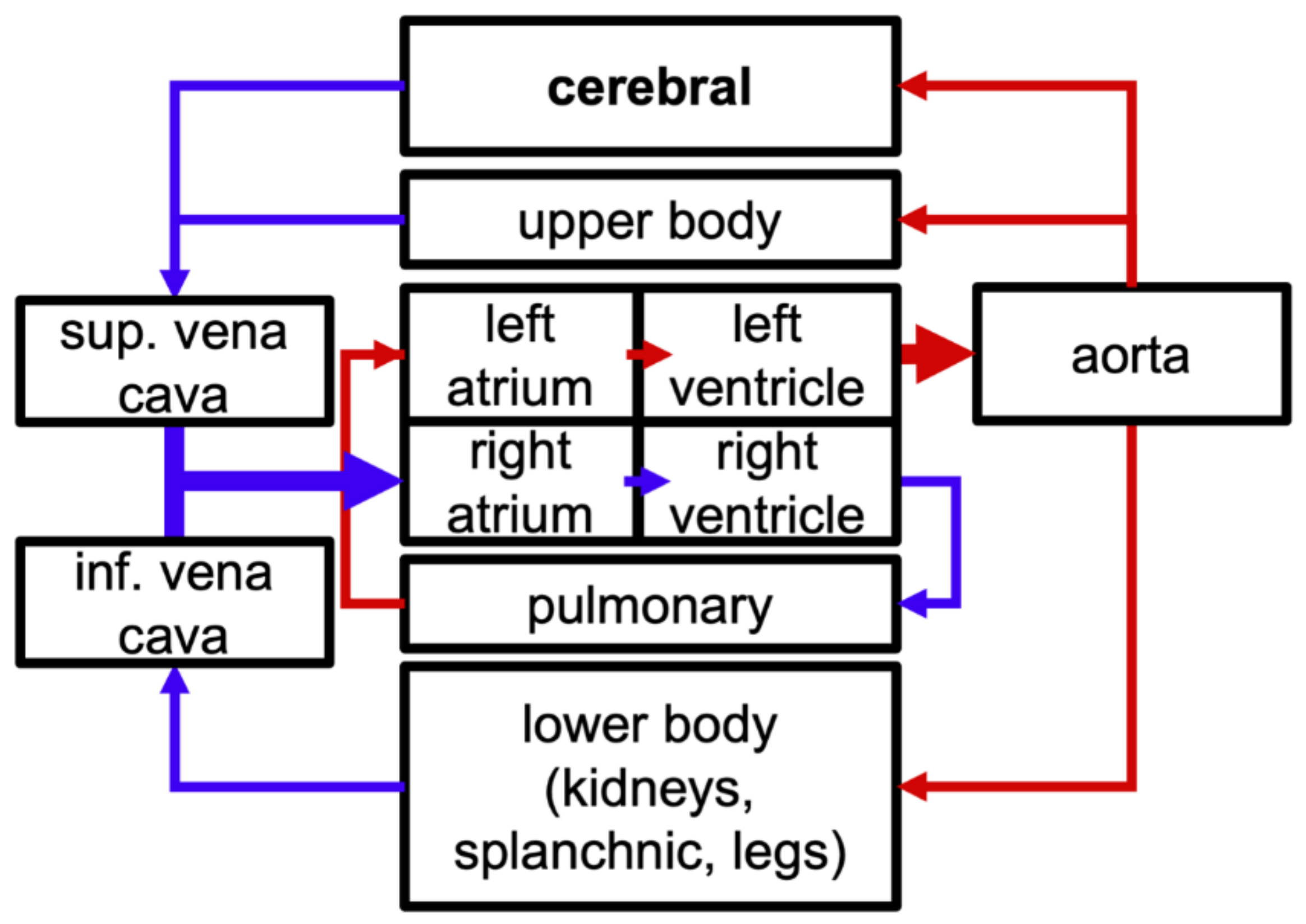 Applsci 12 01750 g001