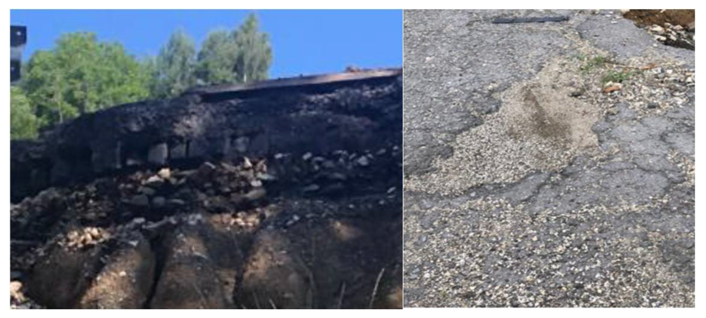 Applsci 12 01769 g003