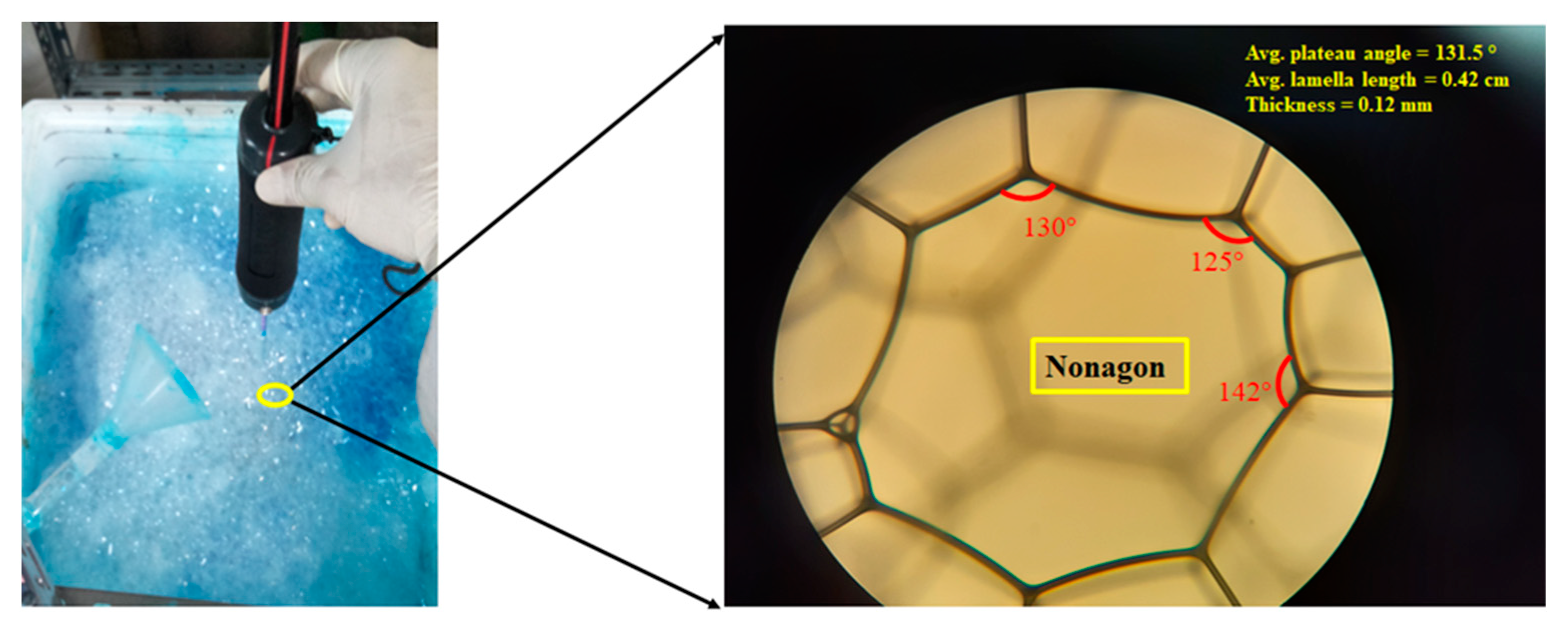 Applsci 12 01806 g001