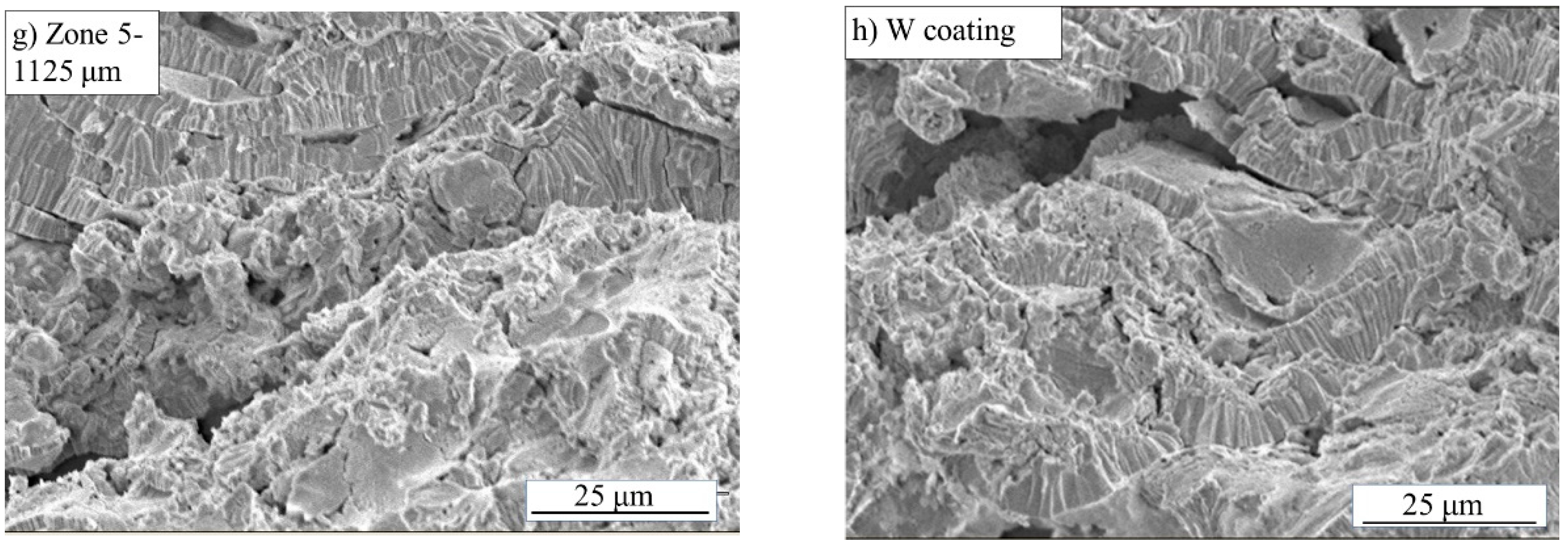 Applsci 12 01822 g004b