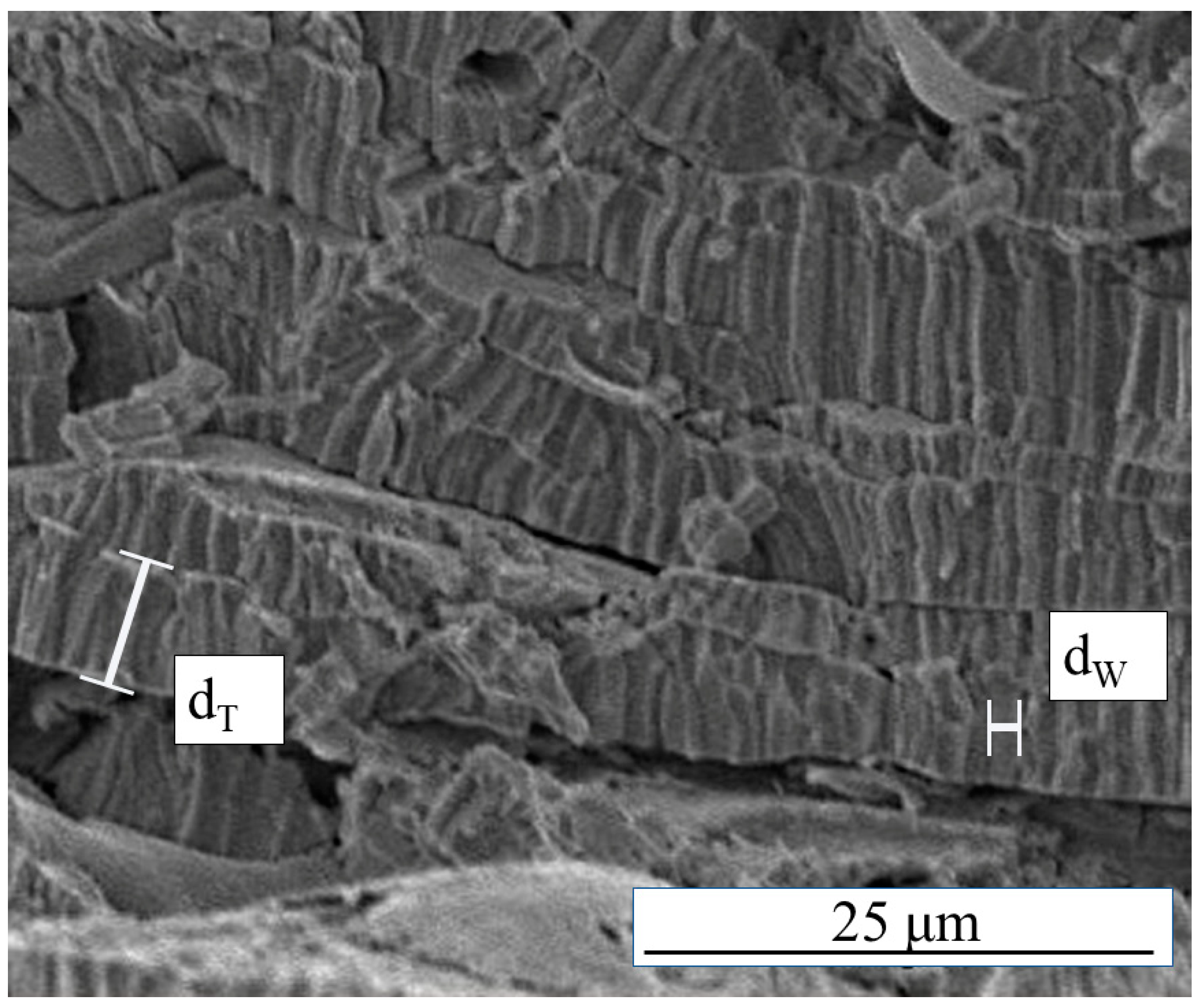 Applsci 12 01822 g005