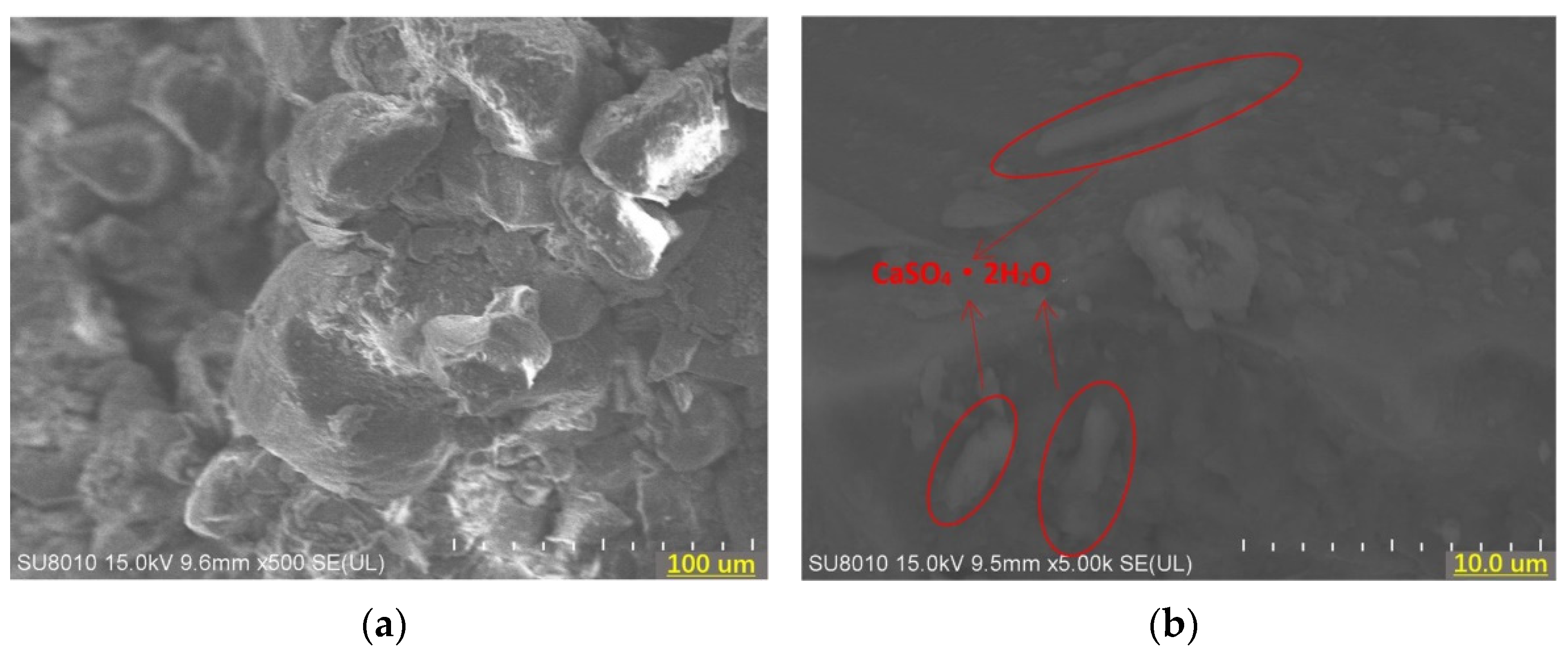 Applsci 12 01849 g005