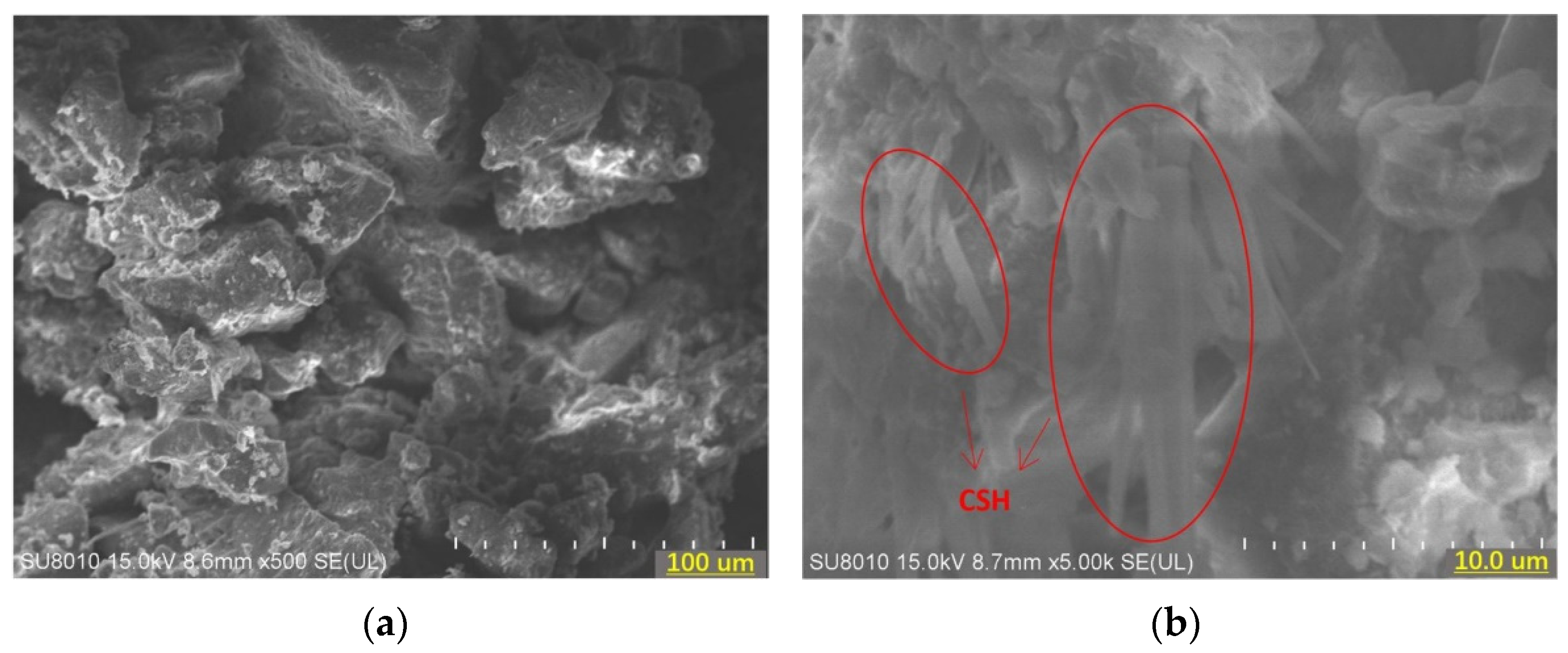 Applsci 12 01849 g007