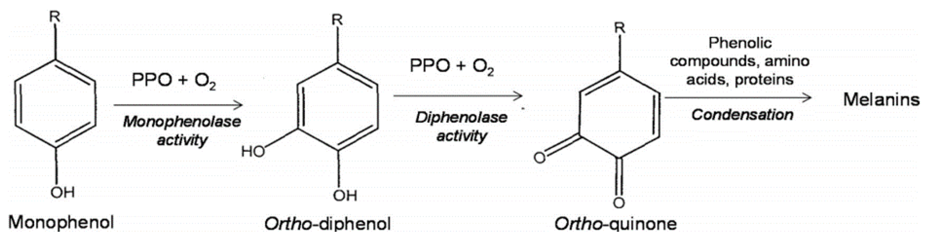 Applsci 12 01864 g003