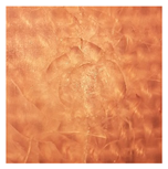 Applsci 12 01869 i004