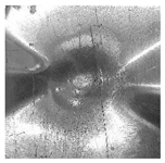 Applsci 12 01869 i005