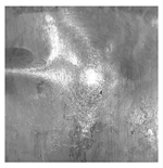 Applsci 12 01869 i006