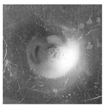 Applsci 12 01869 i009