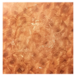 Applsci 12 01869 i012