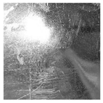 Applsci 12 01869 i018