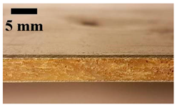 Applsci 12 01869 i019