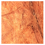 Applsci 12 01869 i020