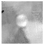 Applsci 12 01869 i022