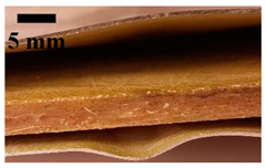 Applsci 12 01869 i023