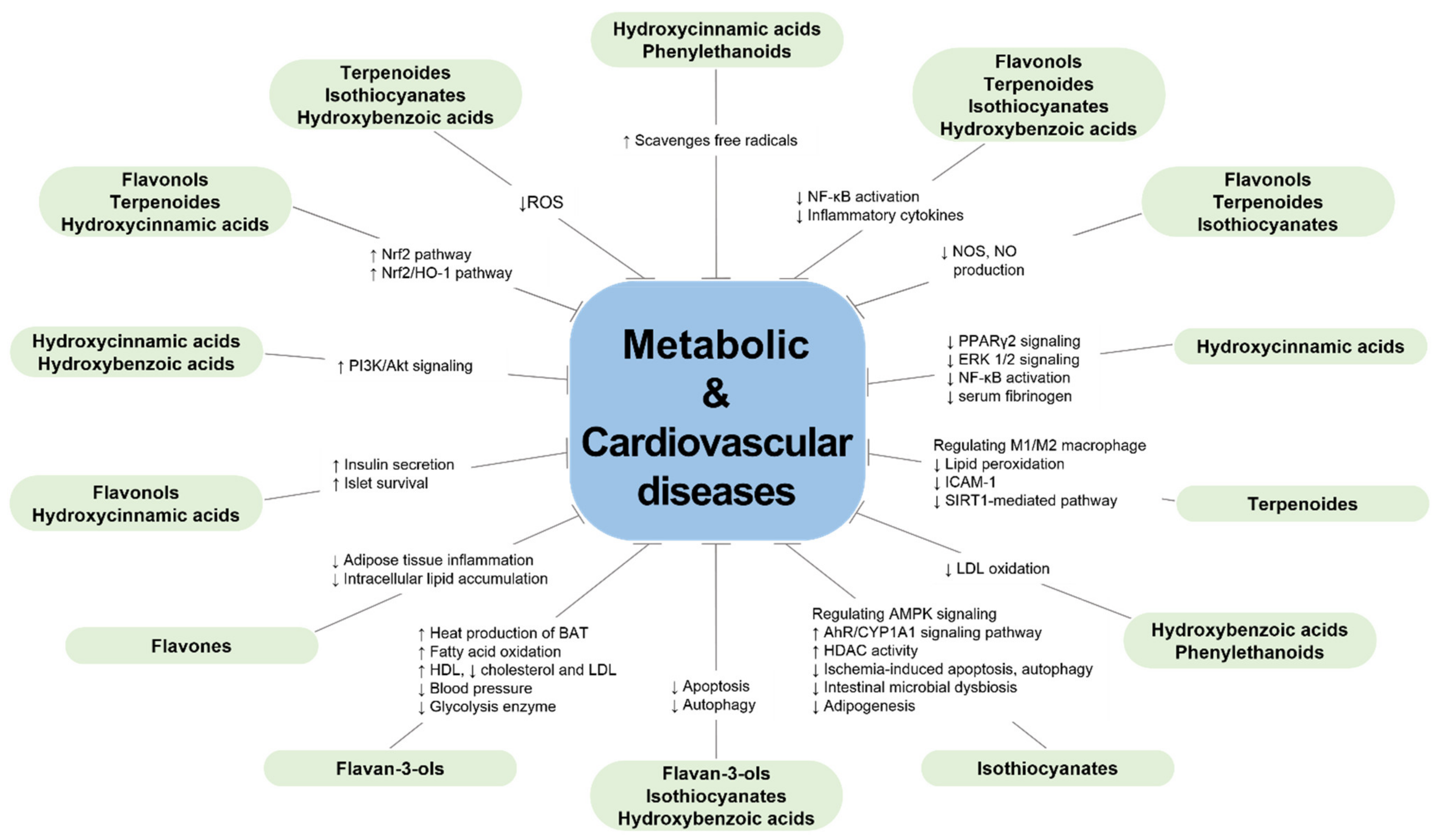 Applsci 12 01879 g002