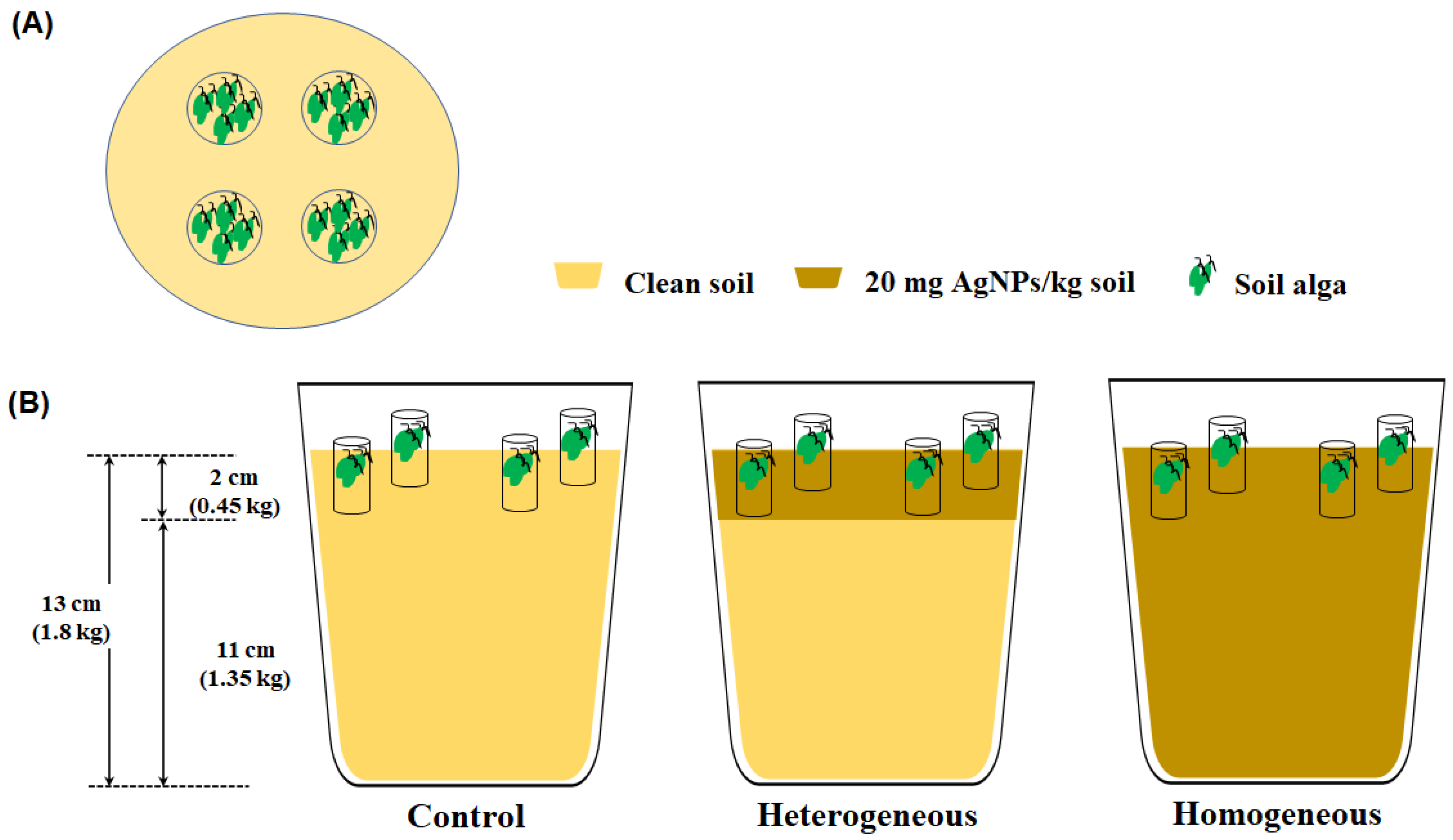 Applsci 12 01890 g002