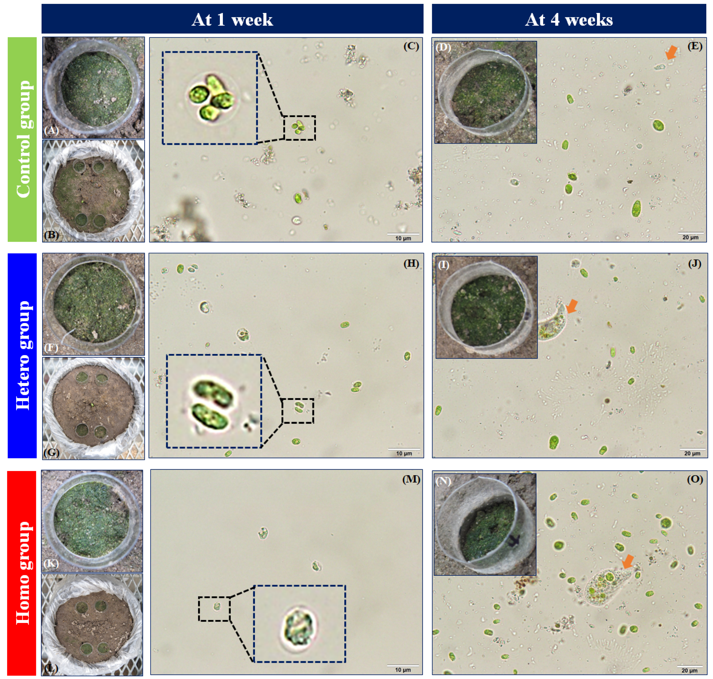 Applsci 12 01890 g003