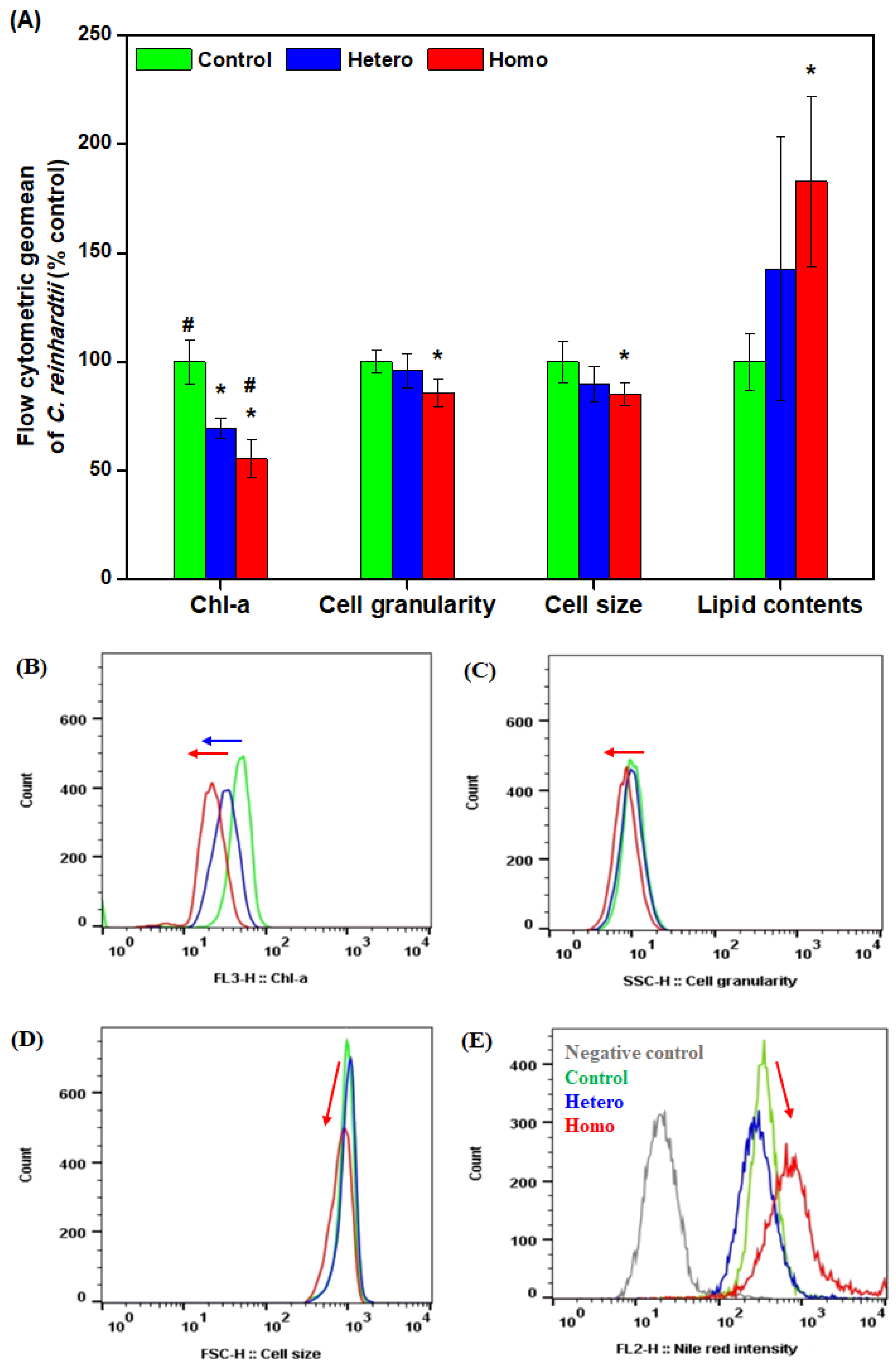 Applsci 12 01890 g004