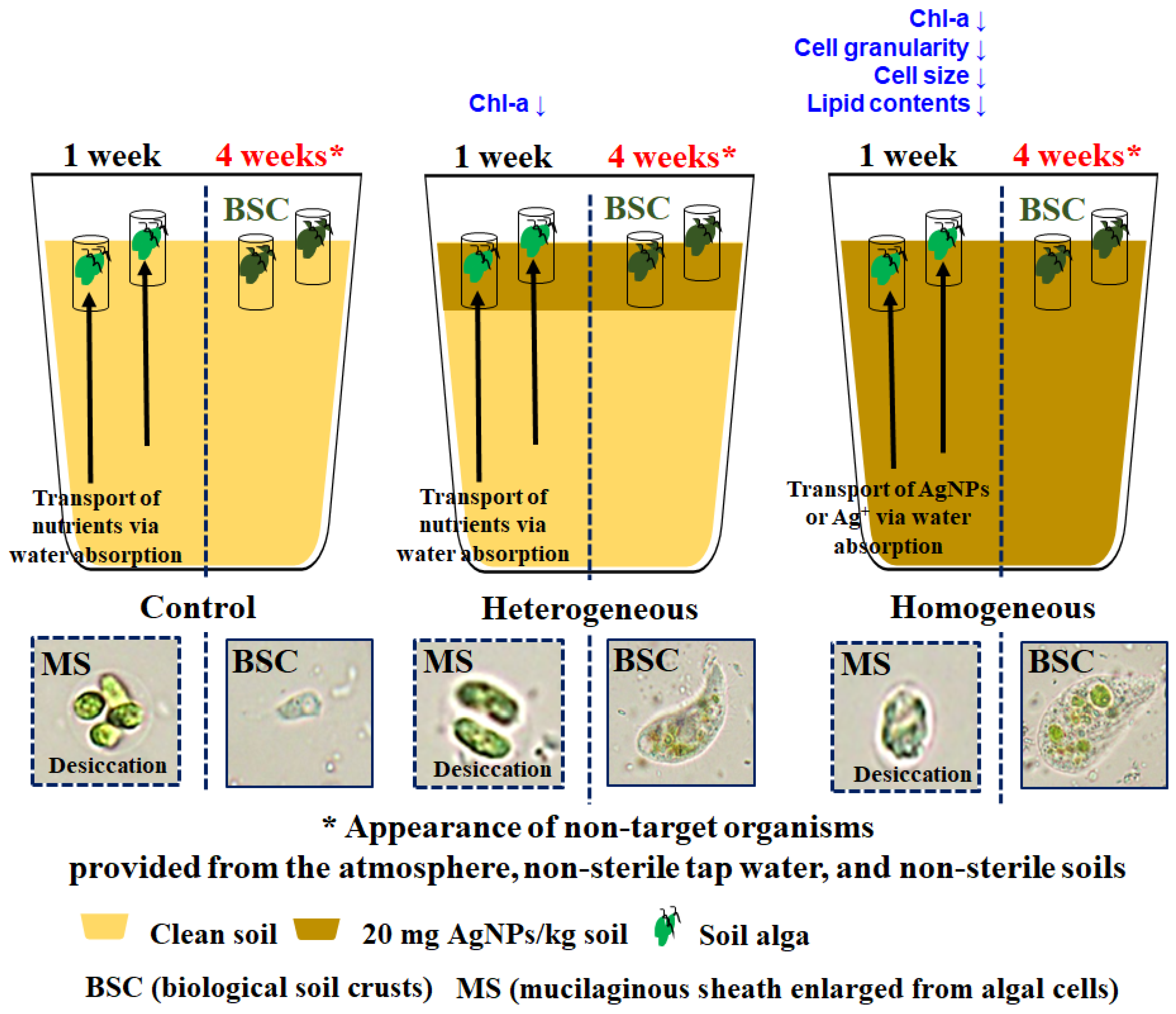 Applsci 12 01890 g005