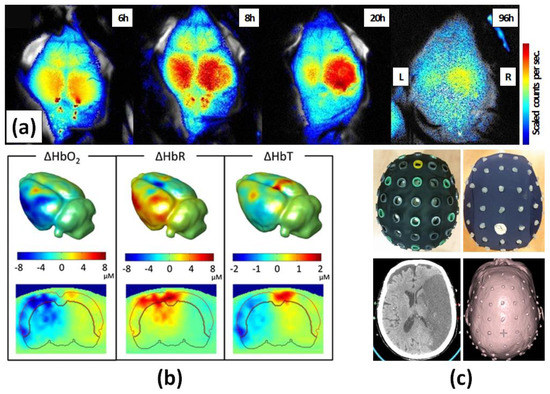 Applsci 12 01891 g003
